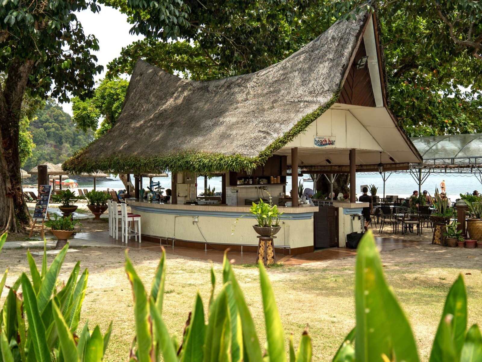 Tropical Beach Bar