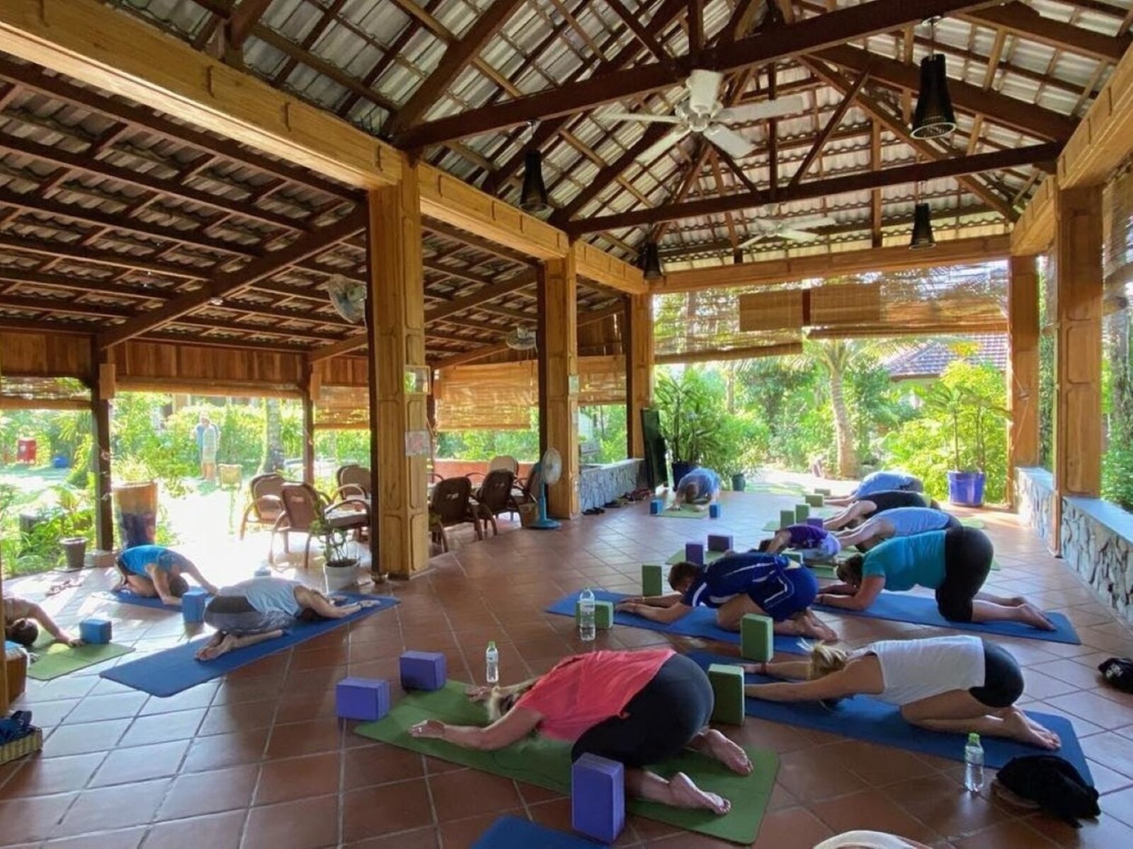 Wellness