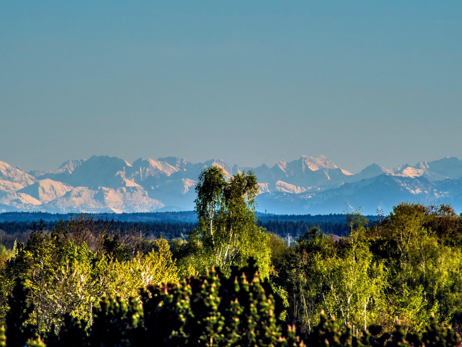 Landschaft