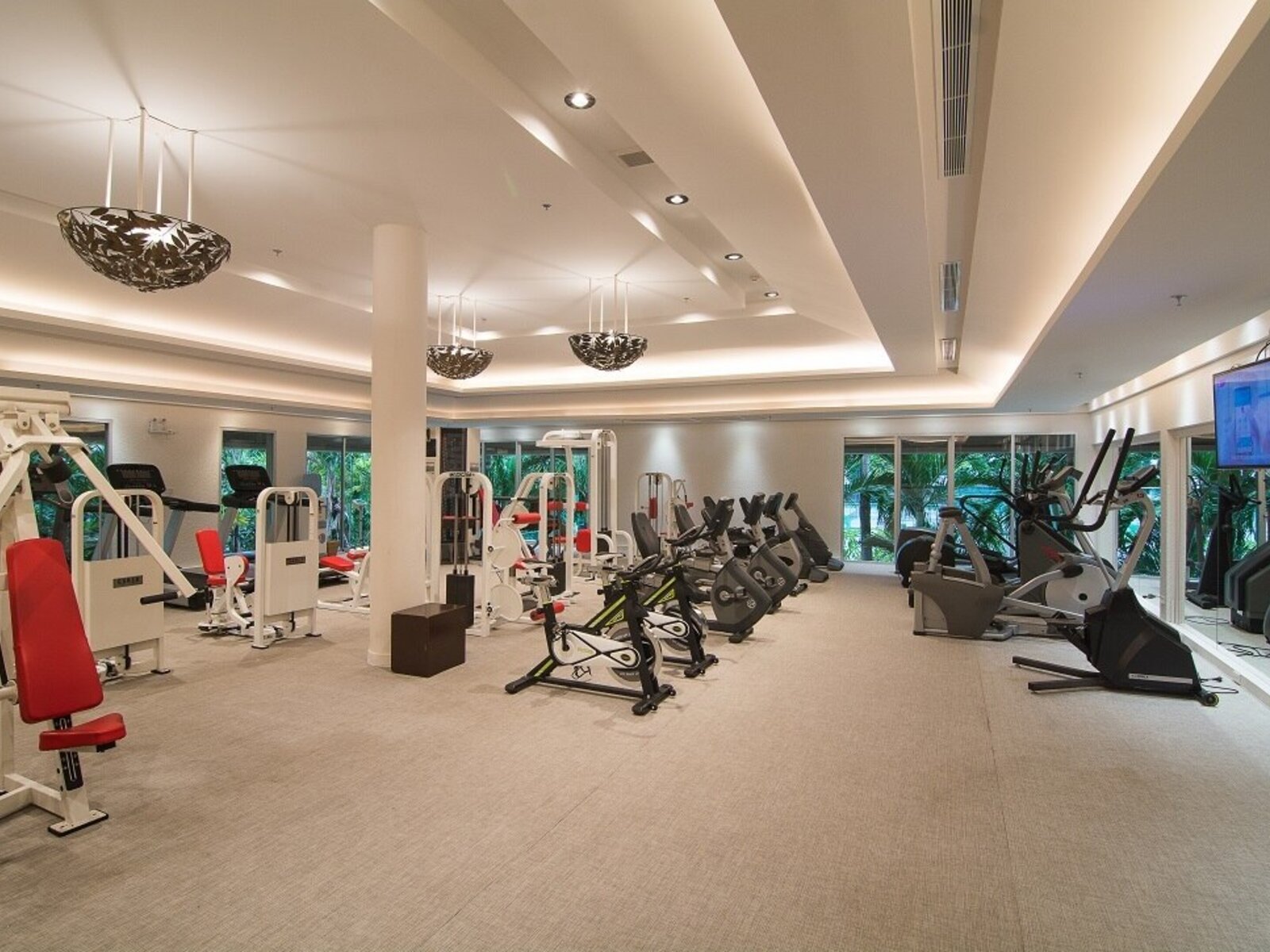 Sport