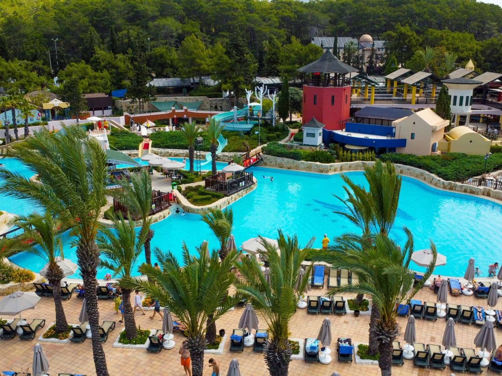MAIN POOL