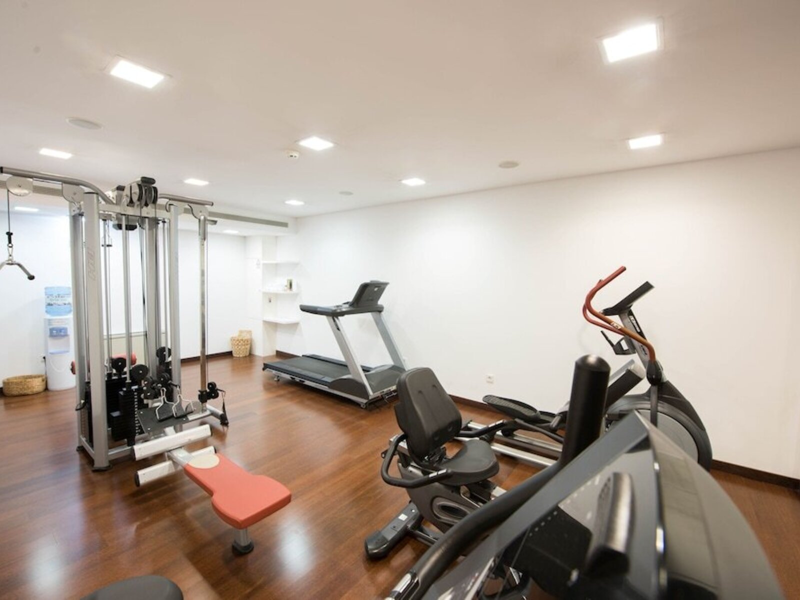 Sport