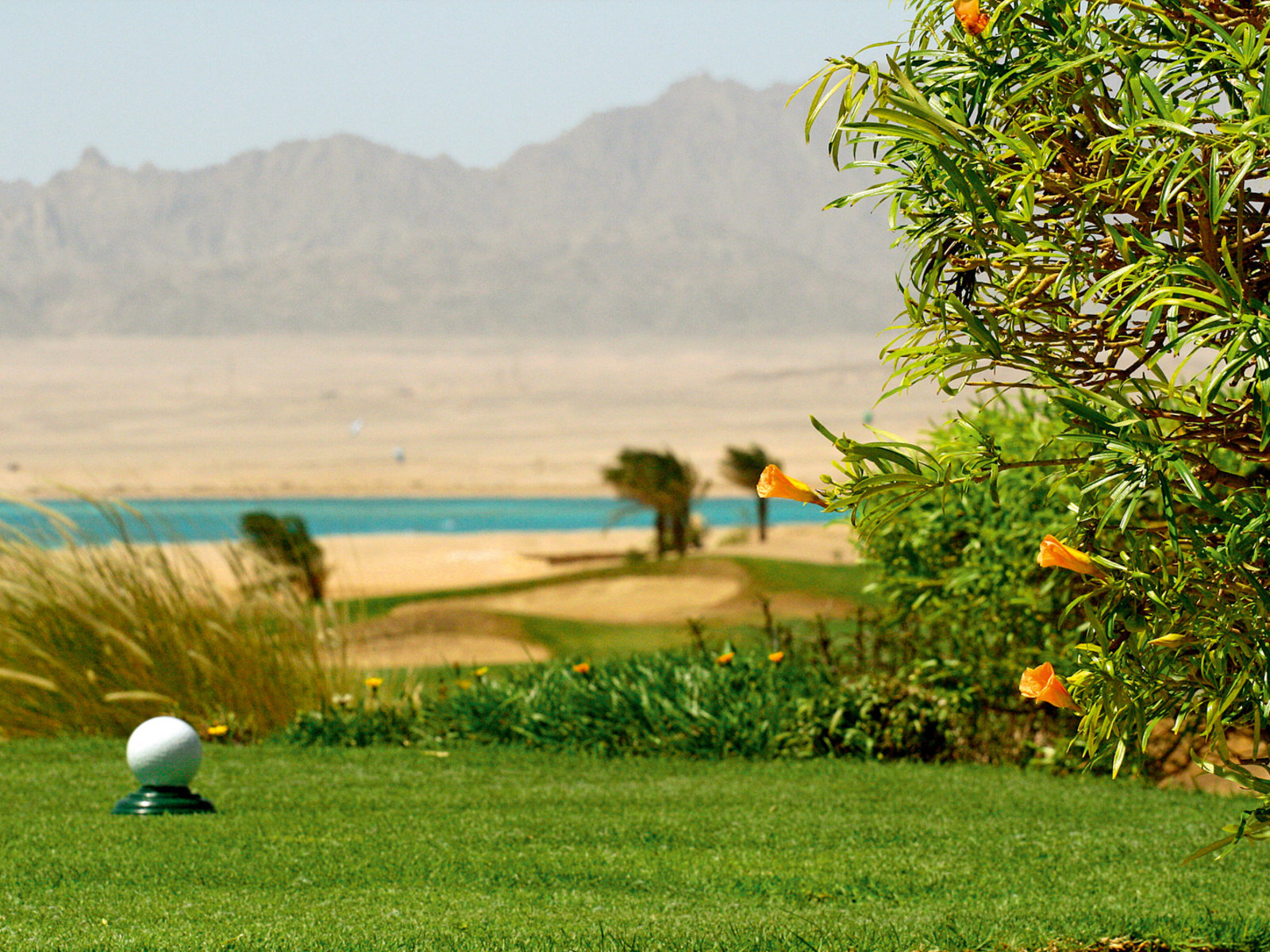 Golf