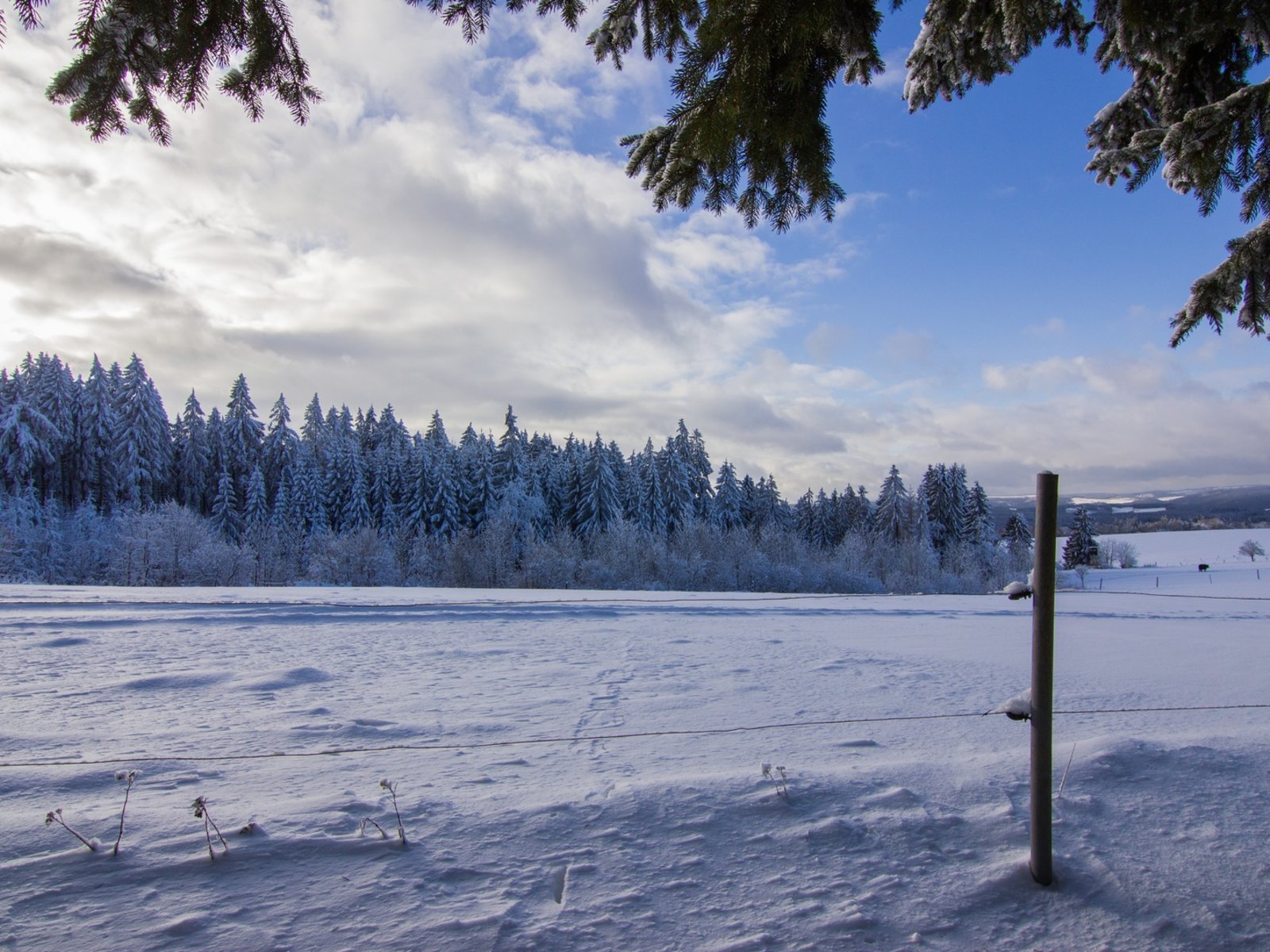Landschaft