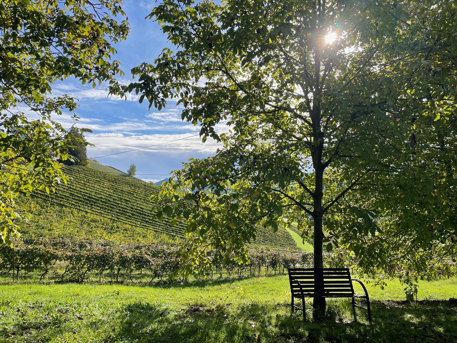 Landschaft