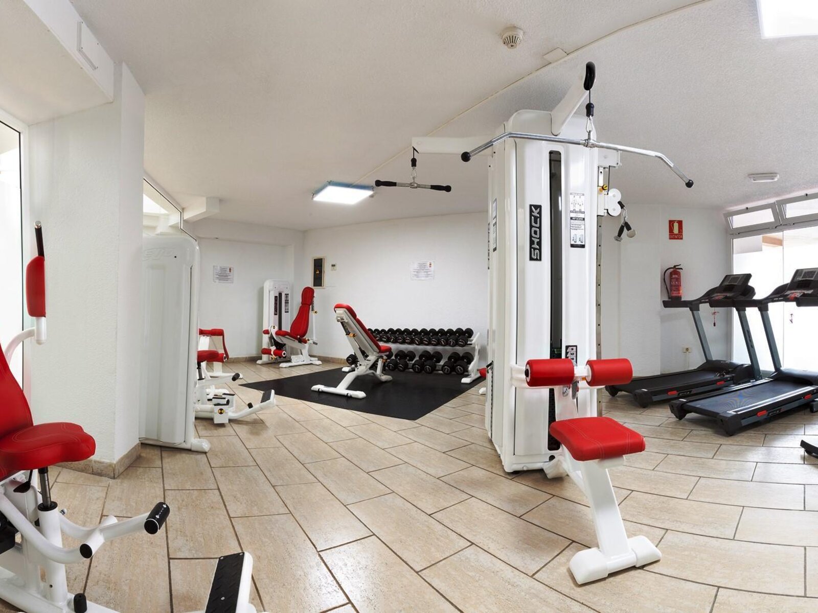 Sport
