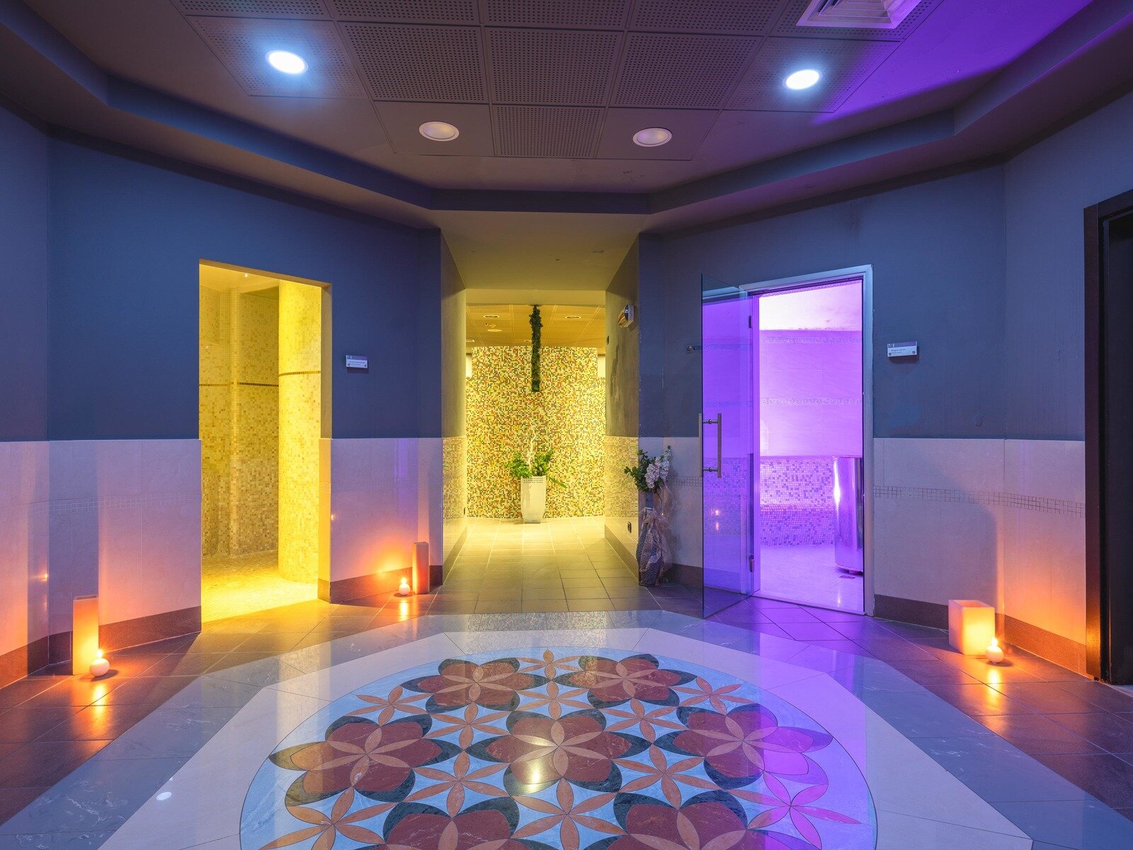 Wellness