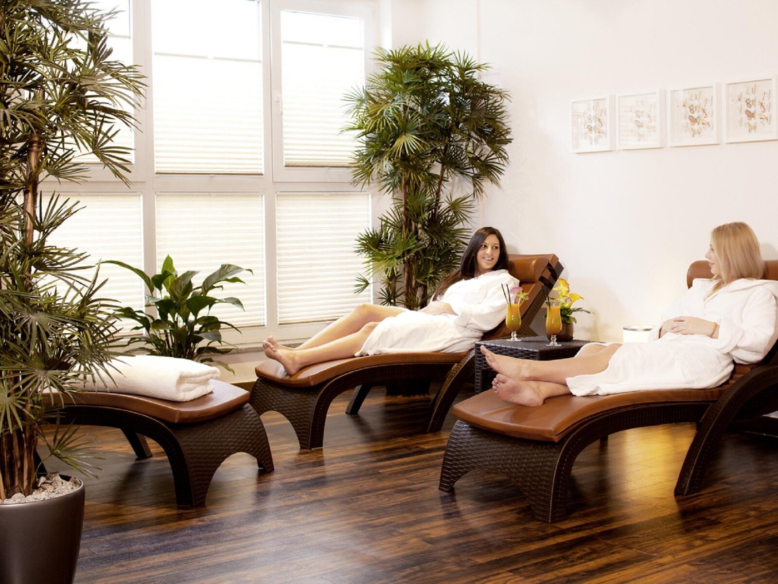 Wellness
