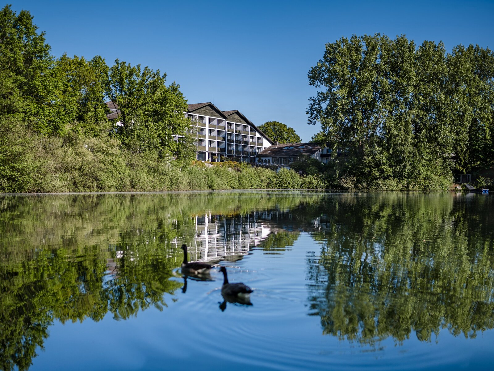 Landschaft