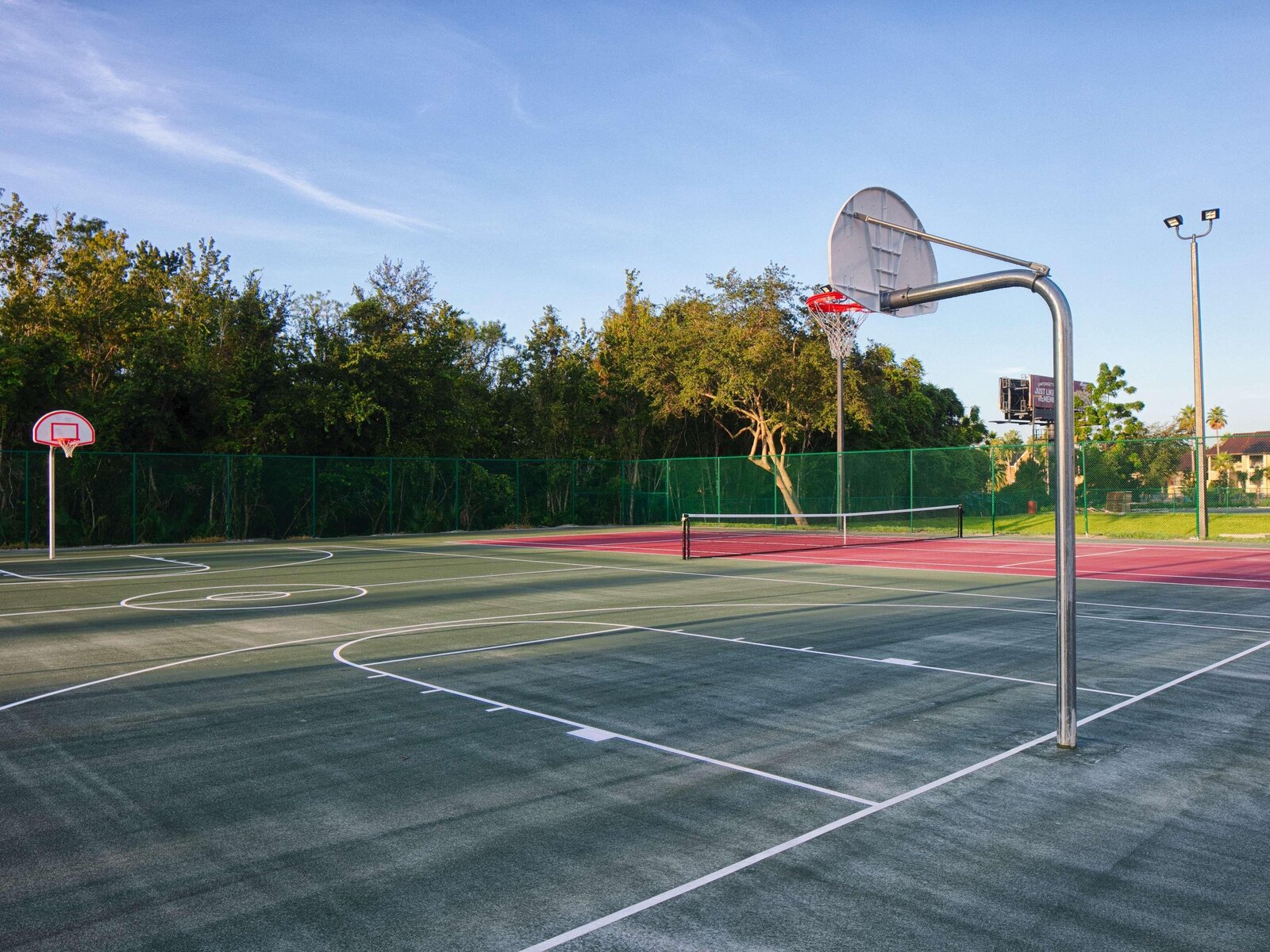 Sport