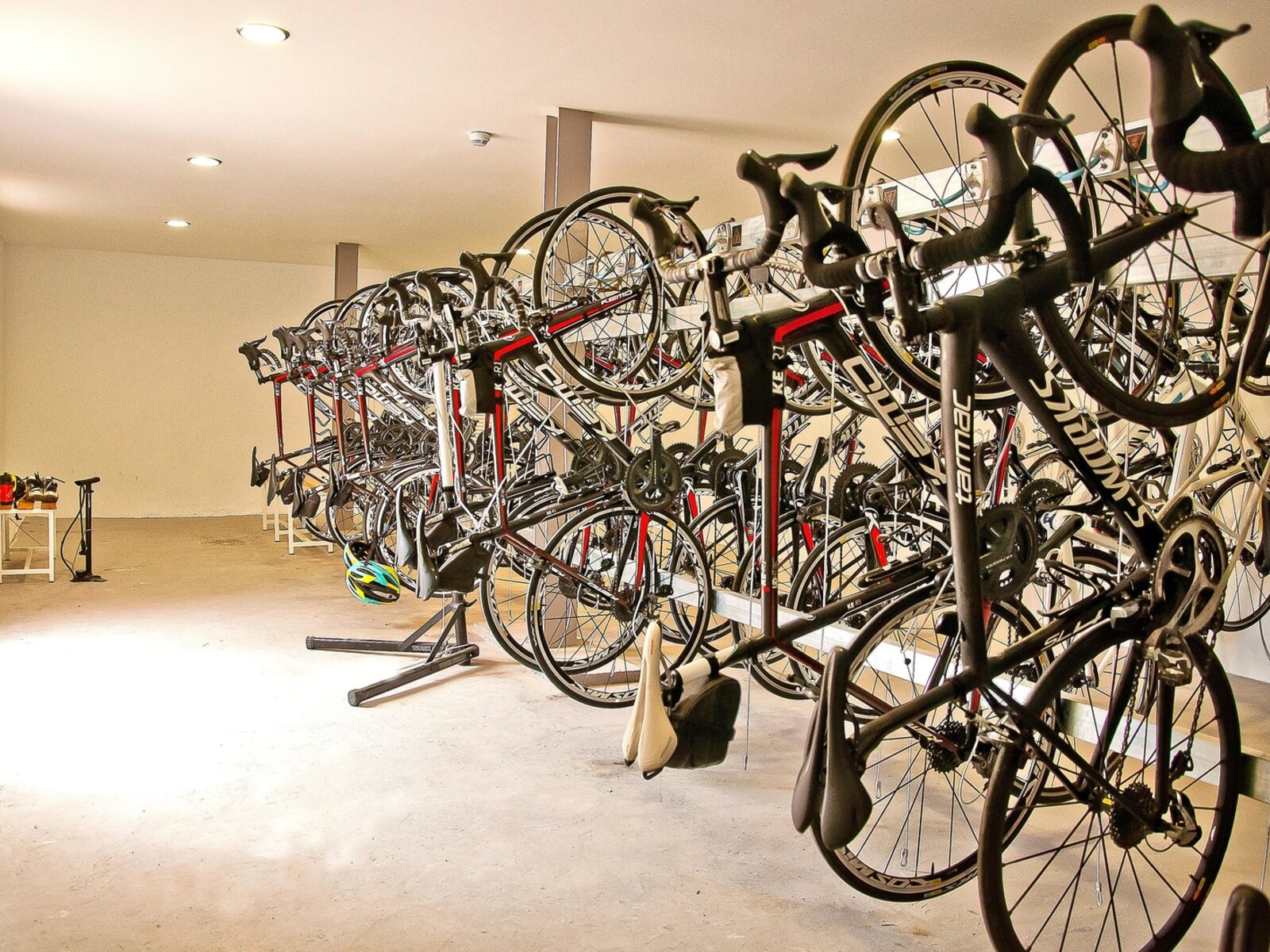 Sport