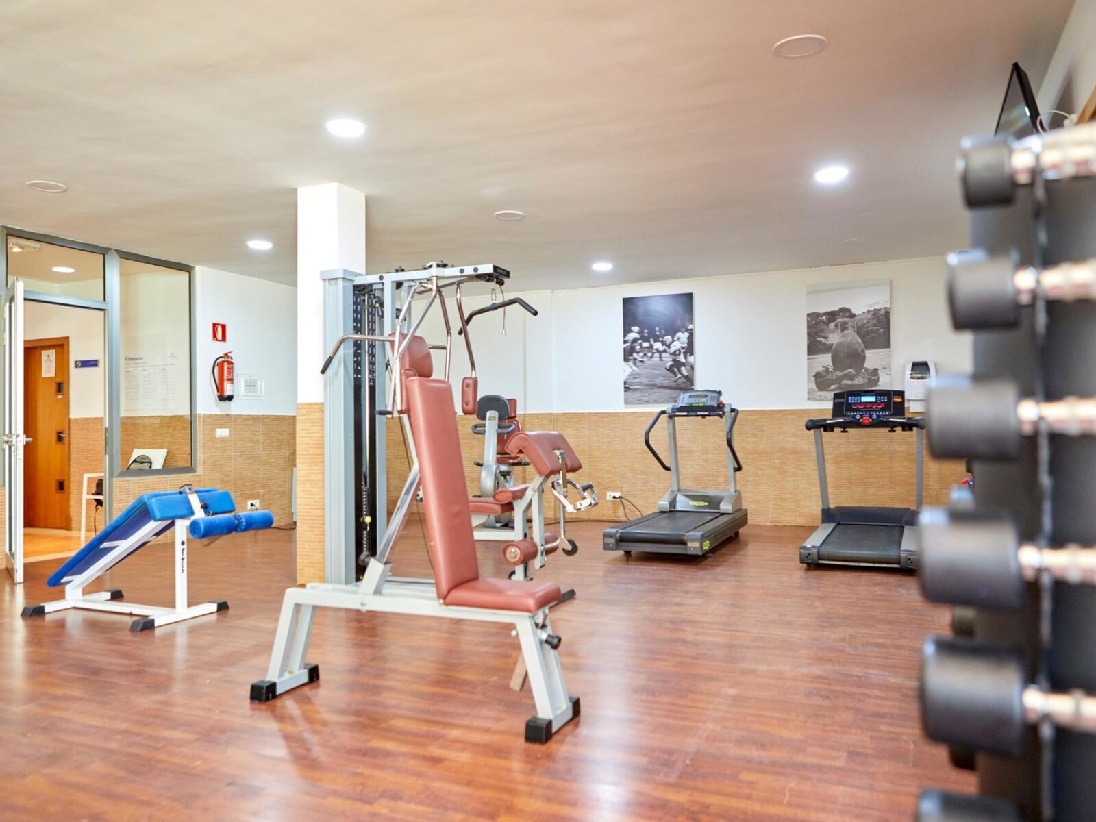 Sport