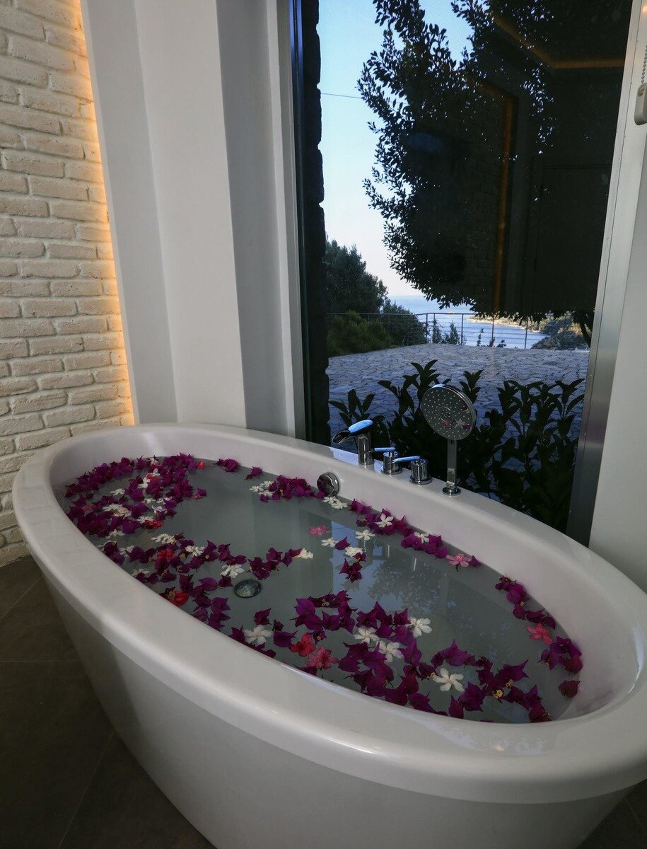 Wellness
