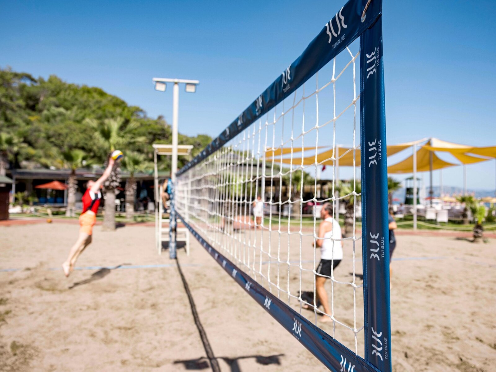 Sport