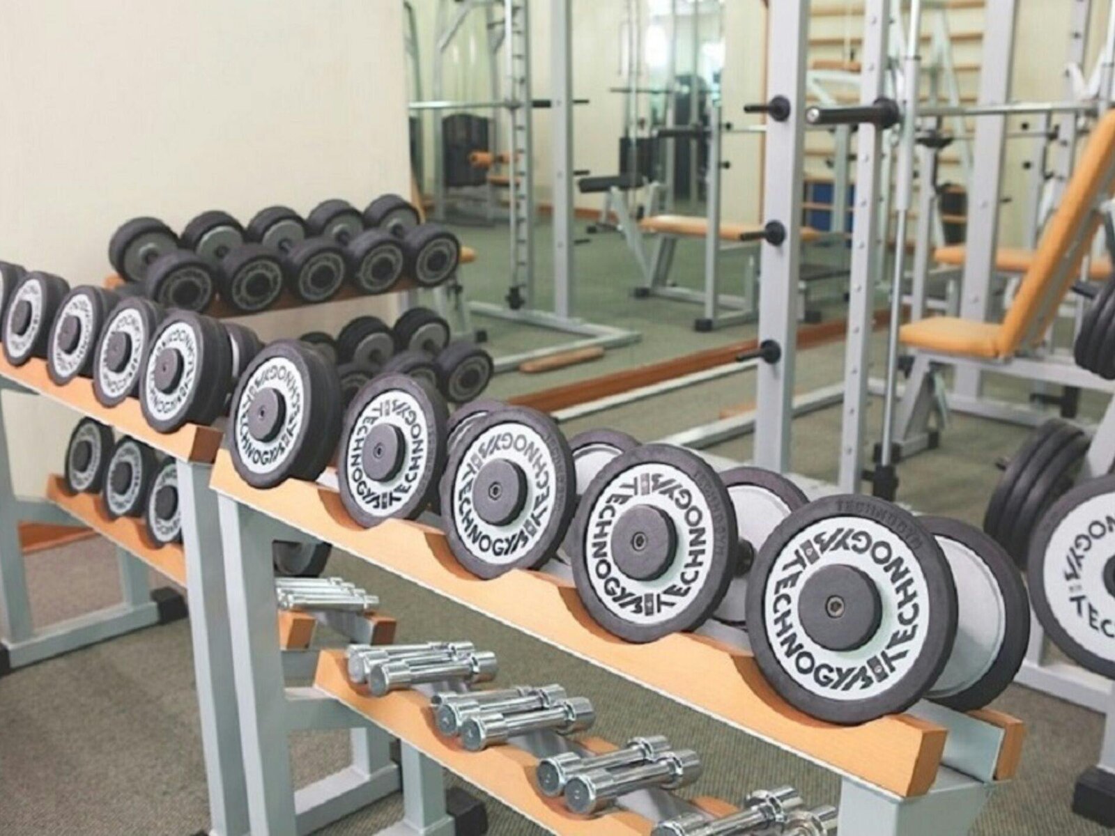 Sport