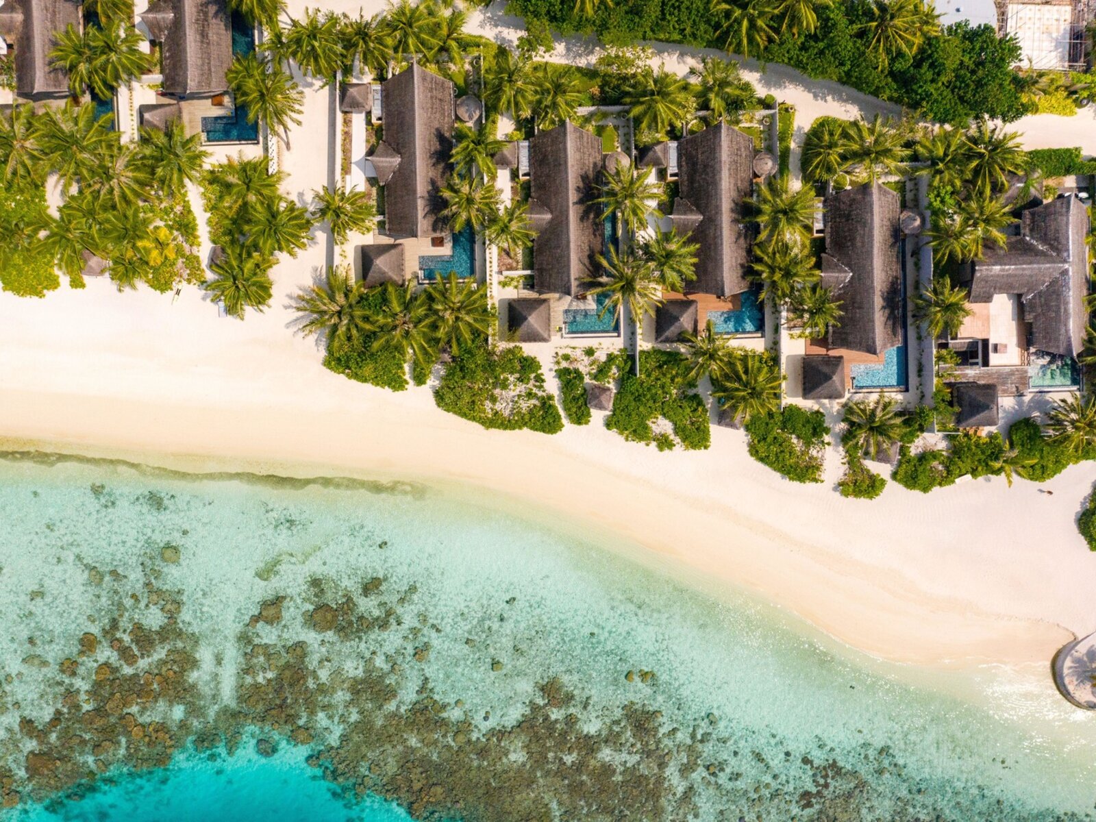 Wohnbeispiel Earth Pool Villa Sunset