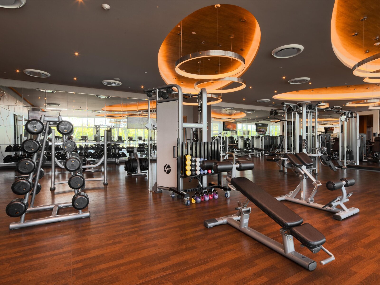Sport