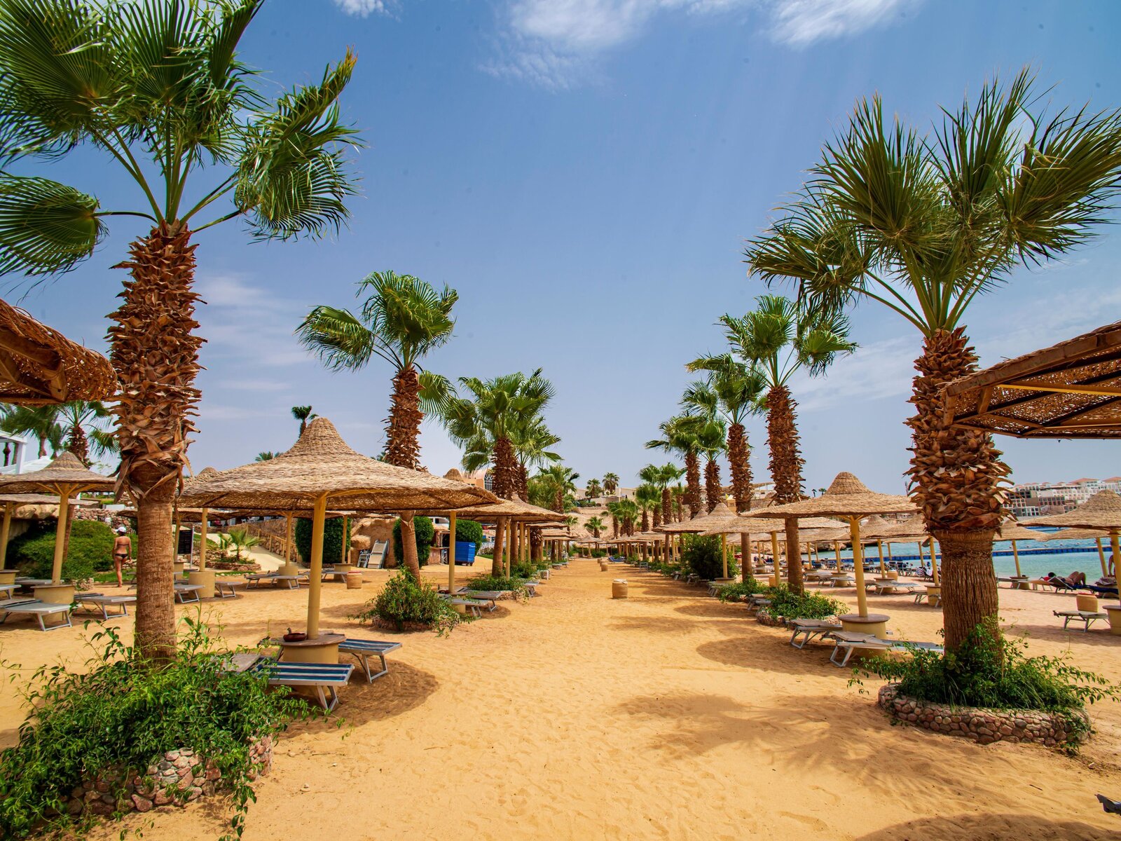 Strand