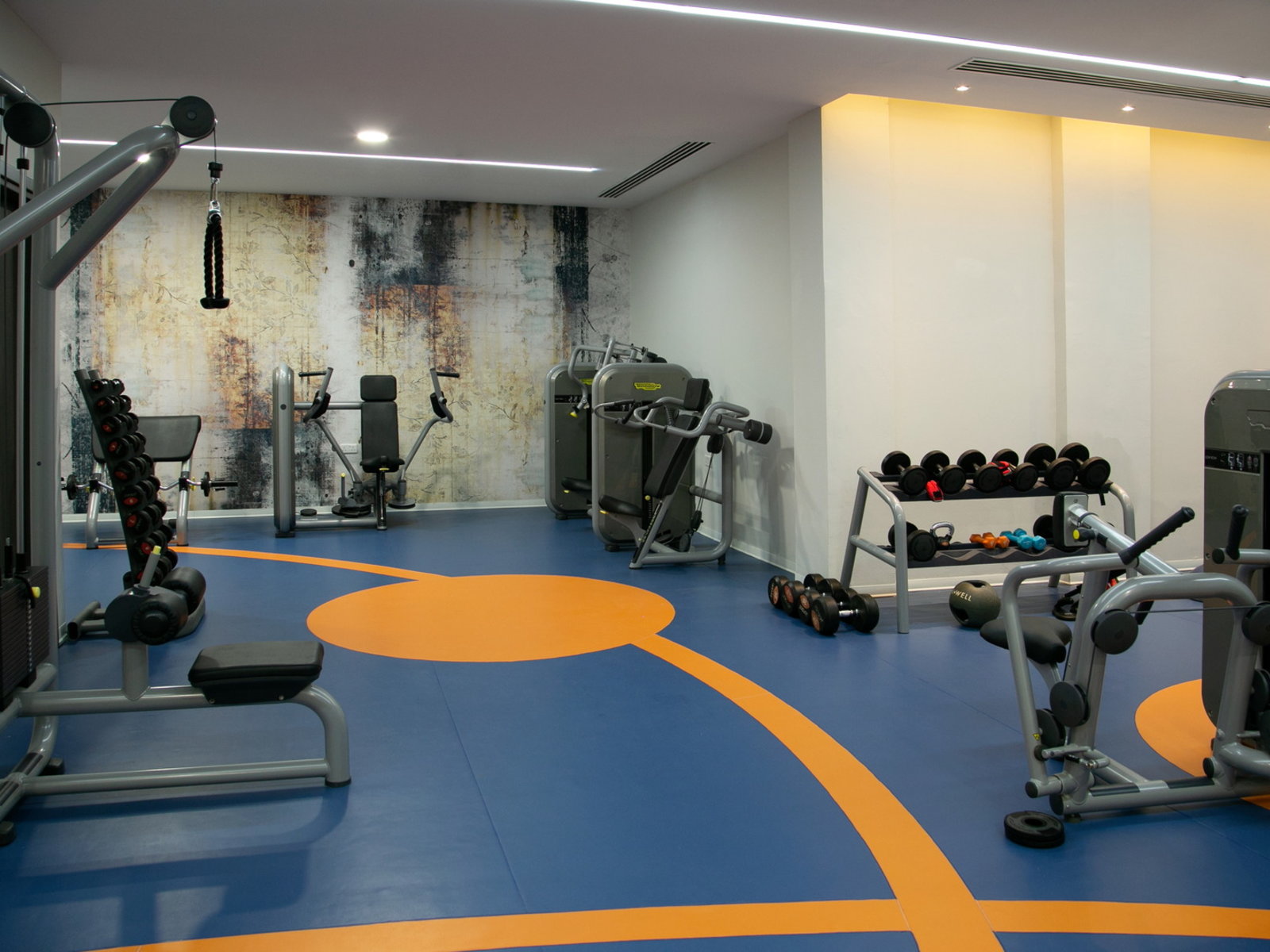 Sport