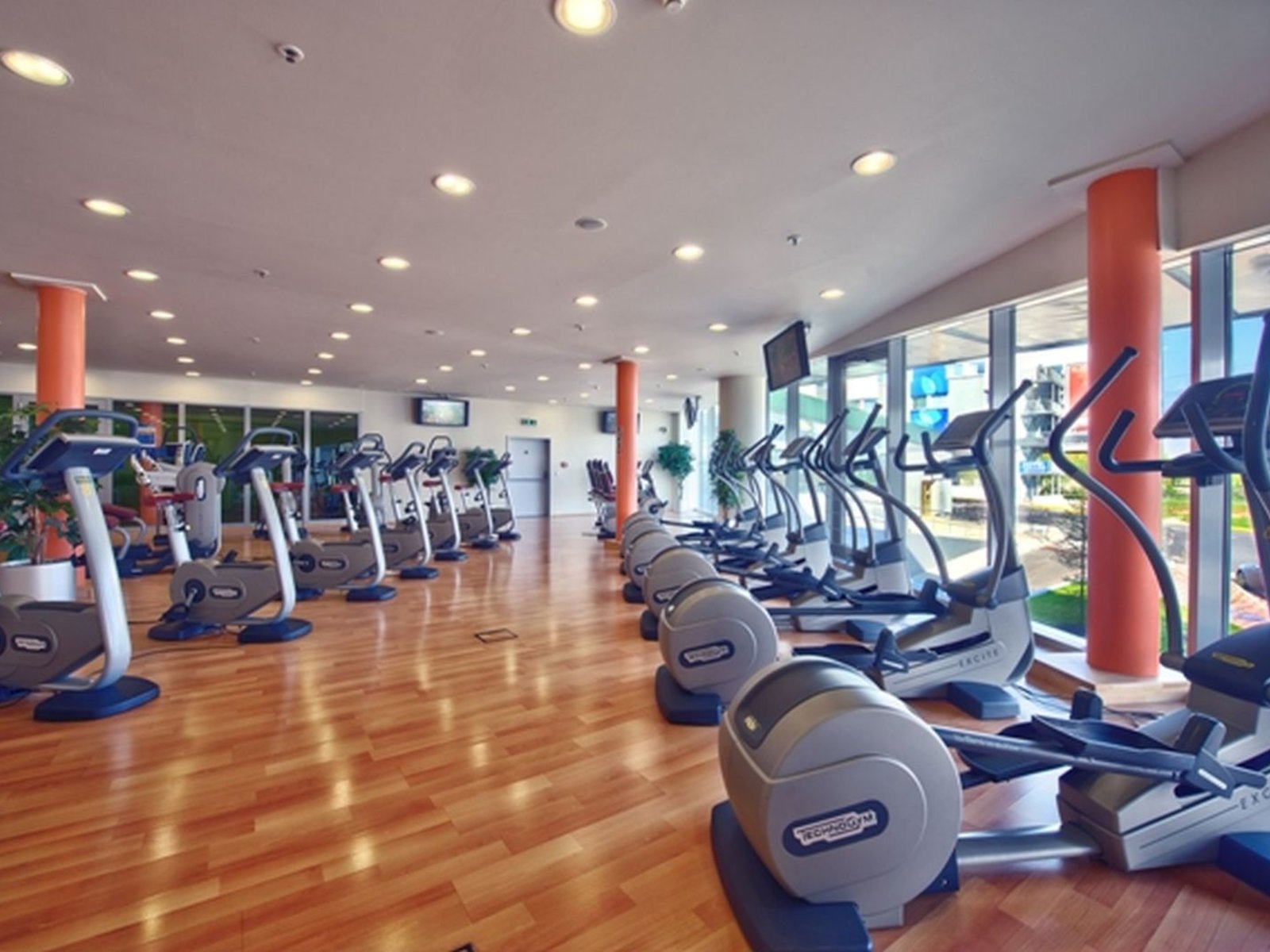 Sport