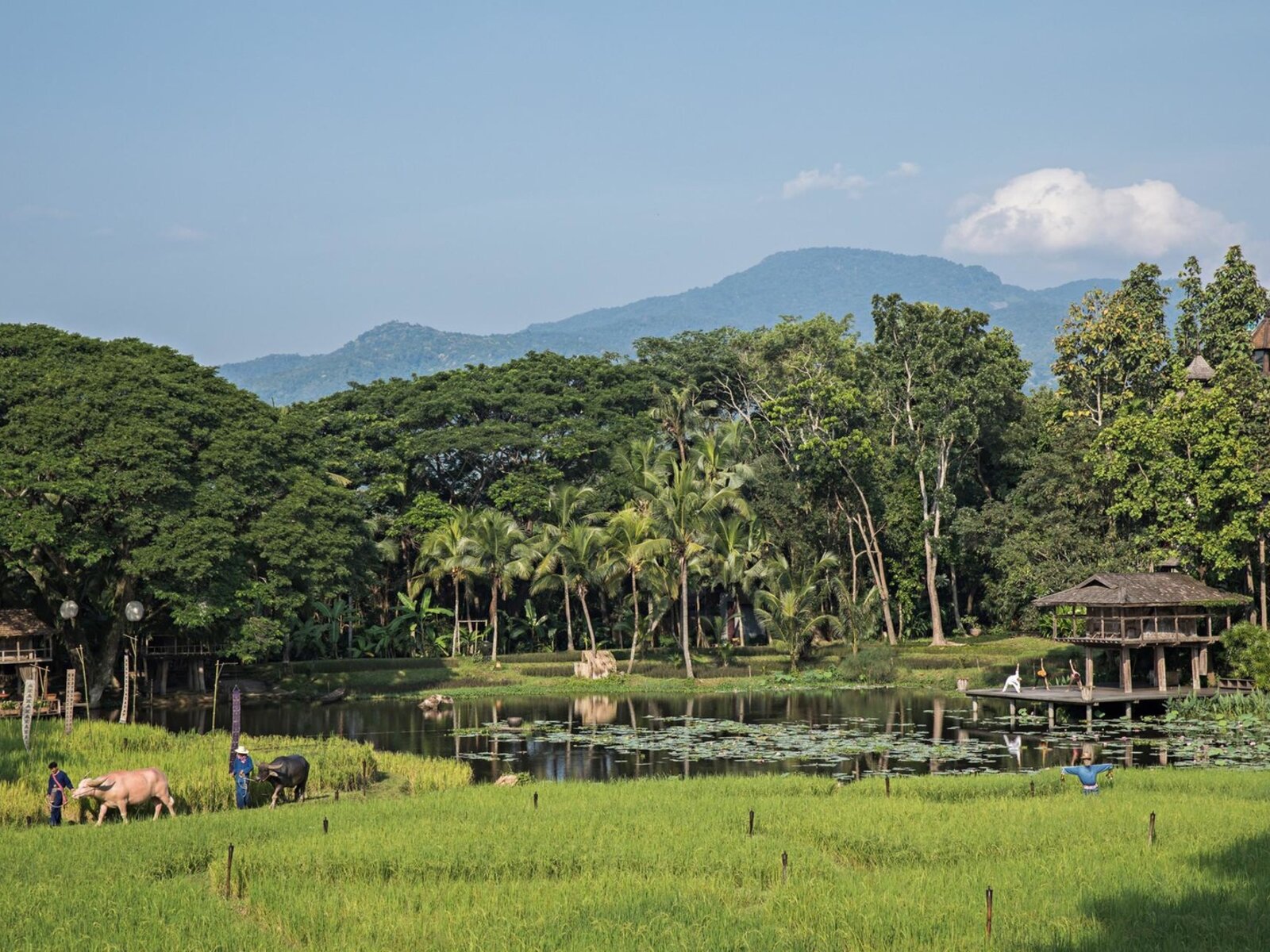 Landschaft