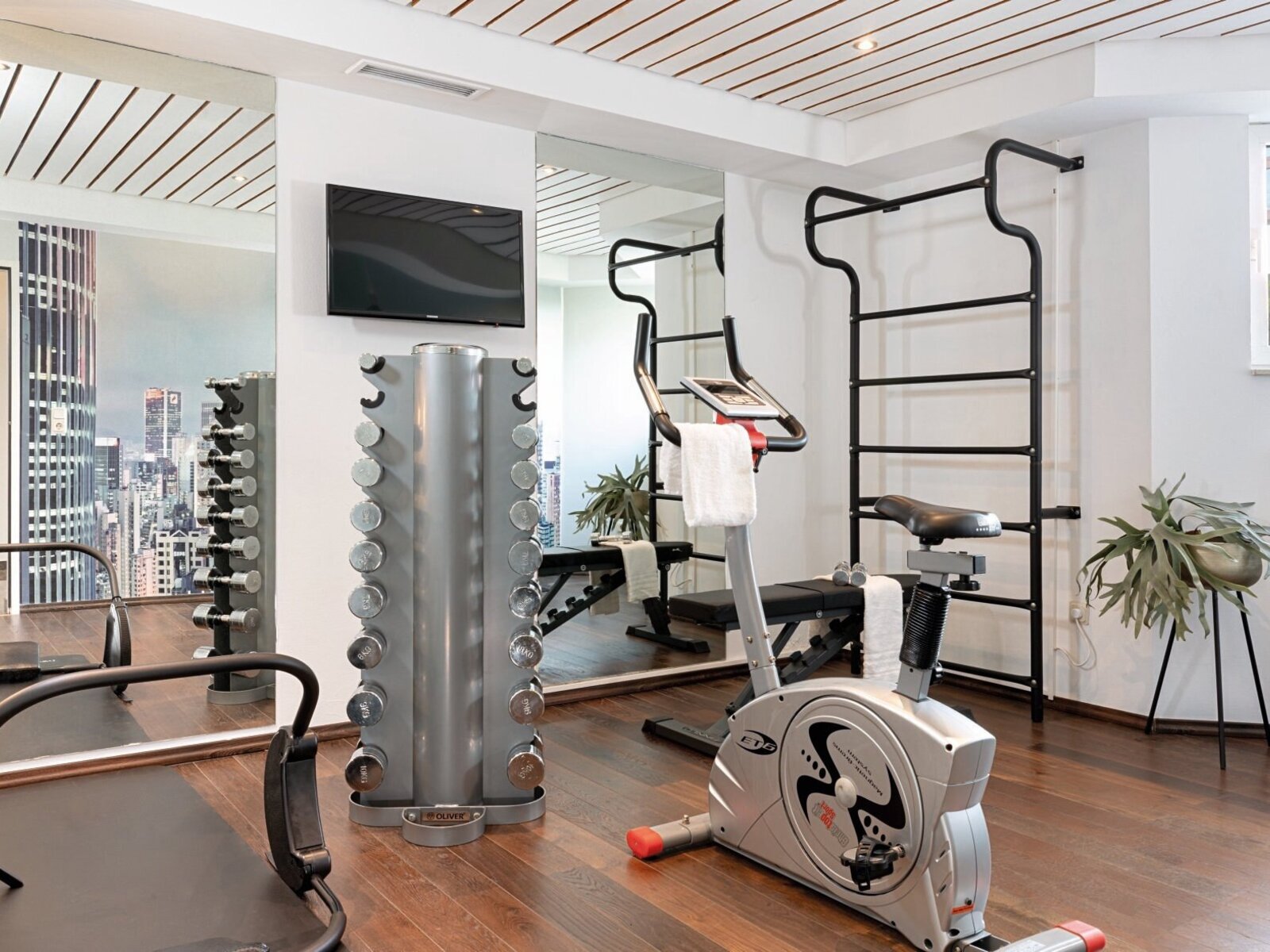Sport