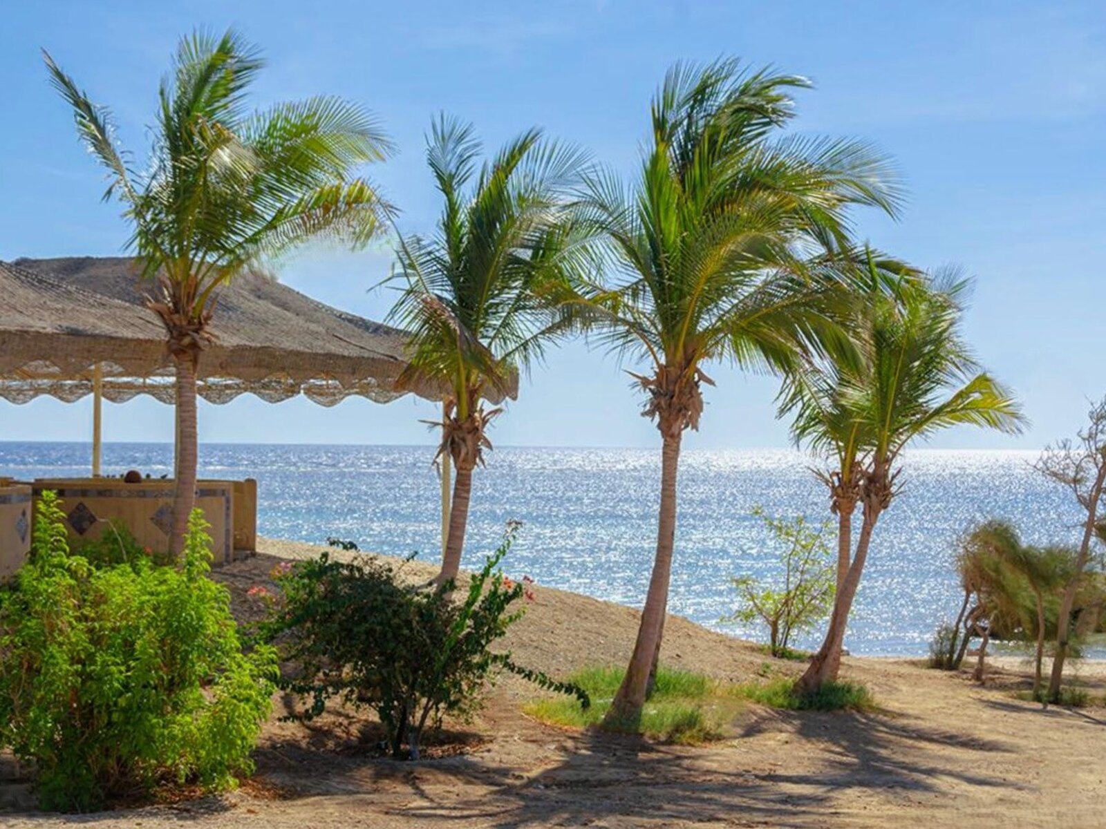 Beach Restaurant ( Lunch Only)