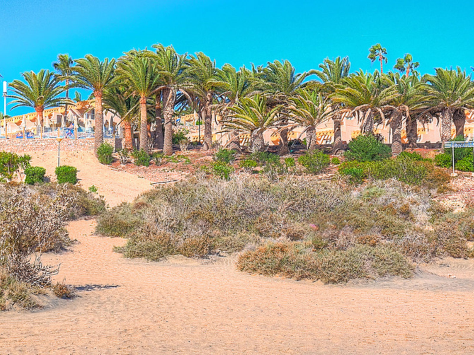 Strand
