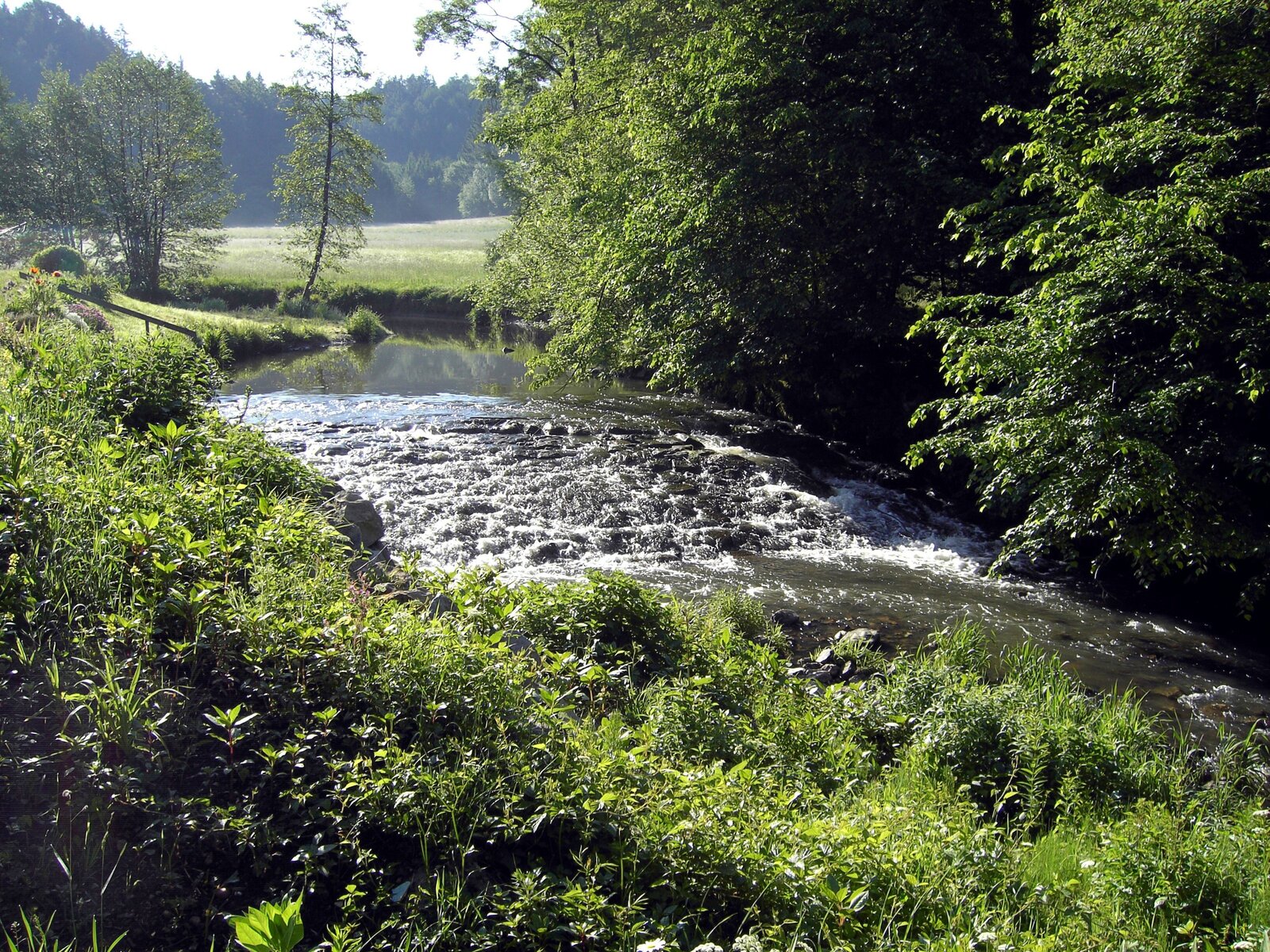 Landschaft