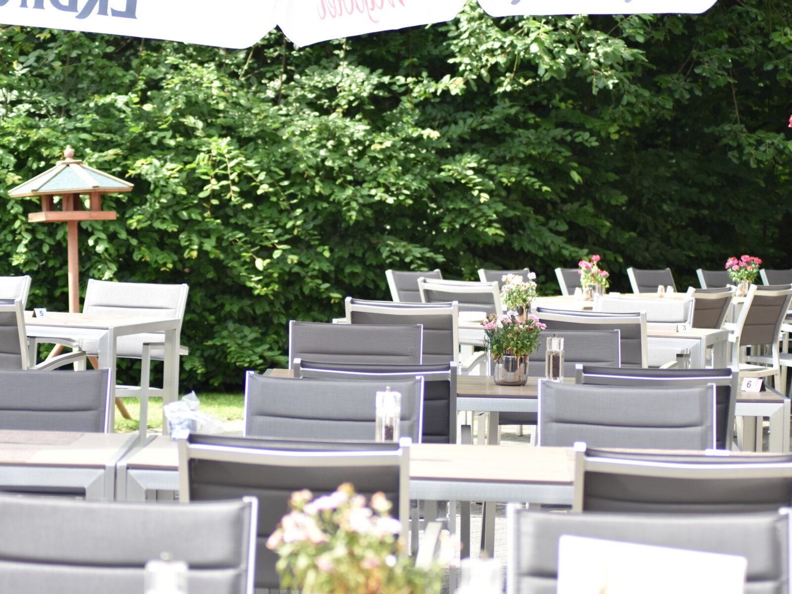 Restaurant Verde