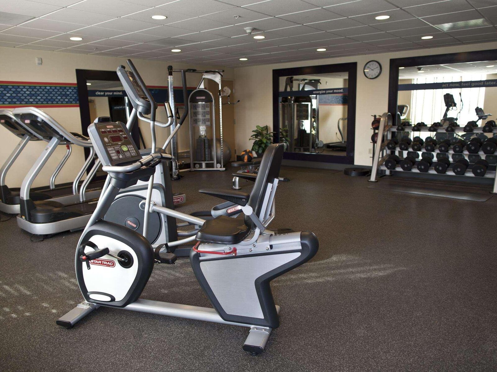 Sport