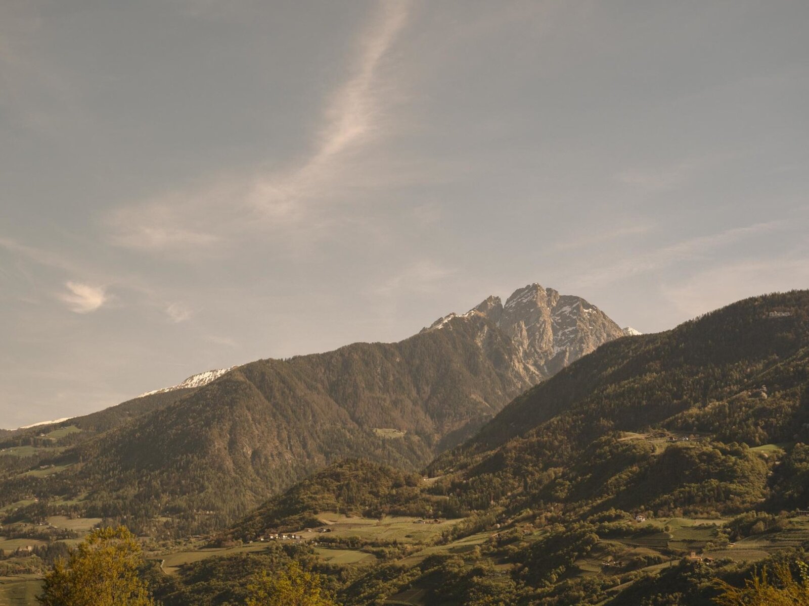 Landschaft
