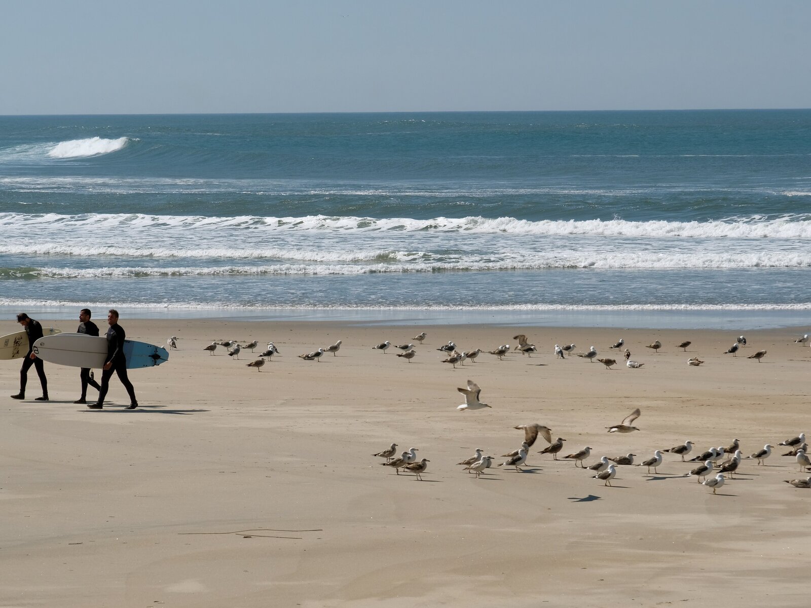 Strand