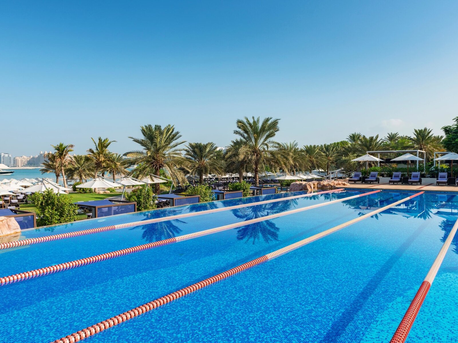 Lap Pool