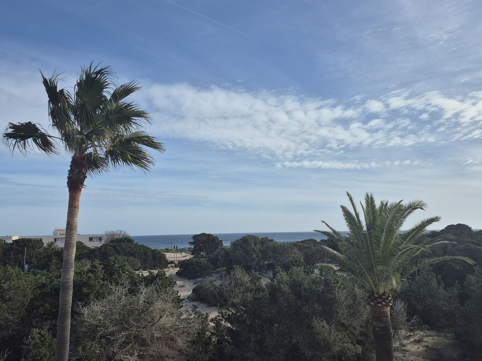 Landschaft