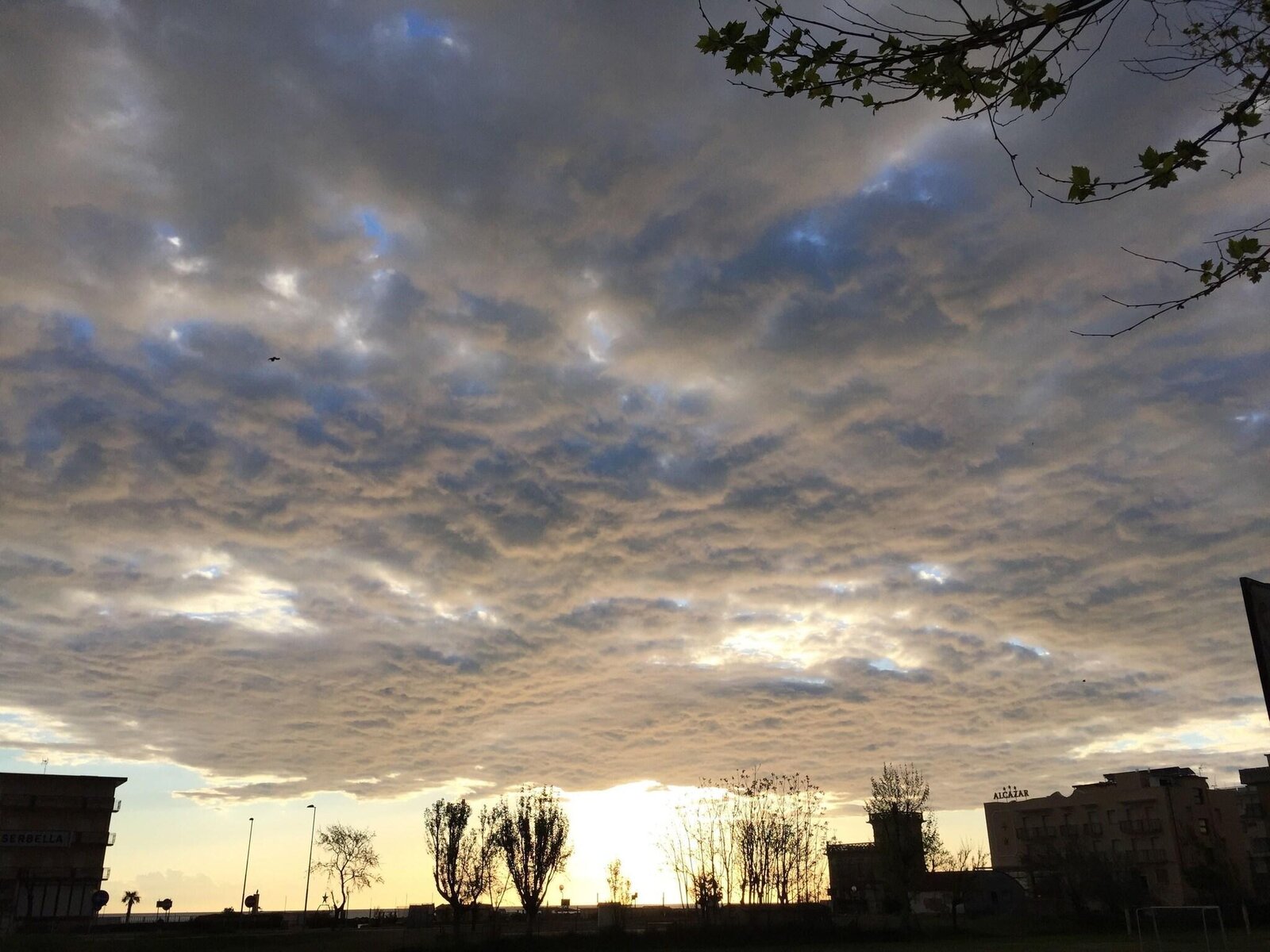 Landschaft