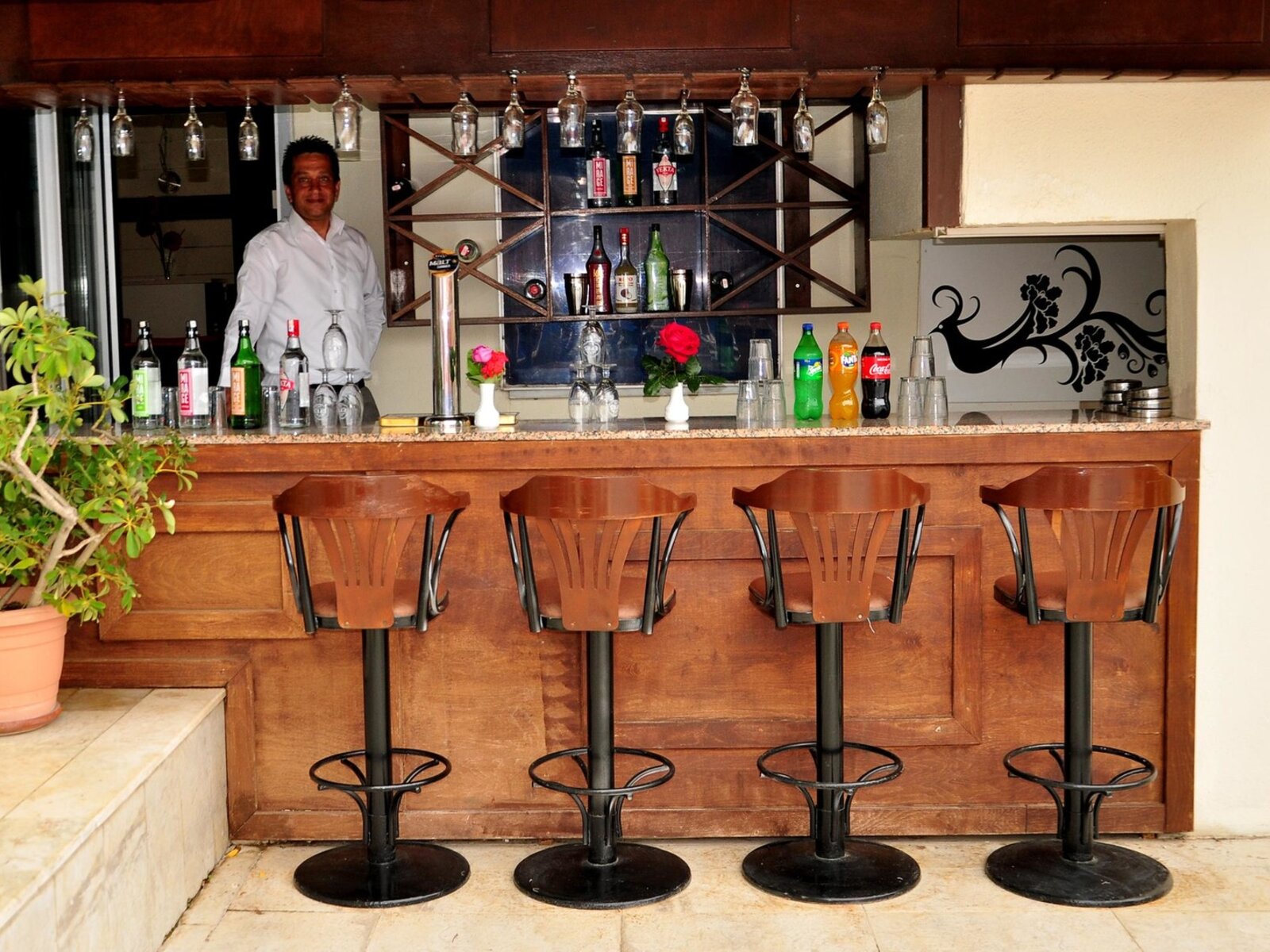 POLL BAR