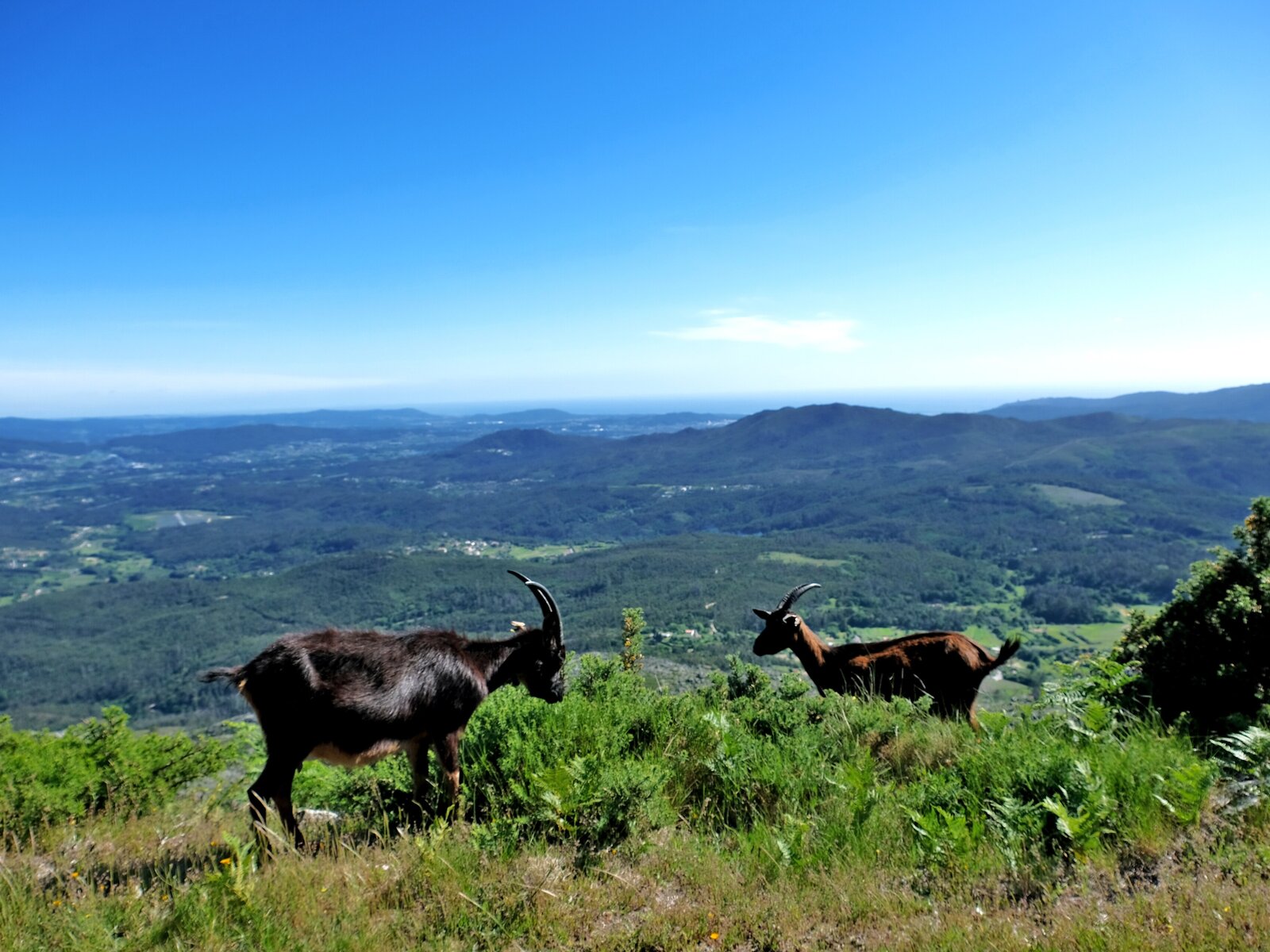 Landschaft