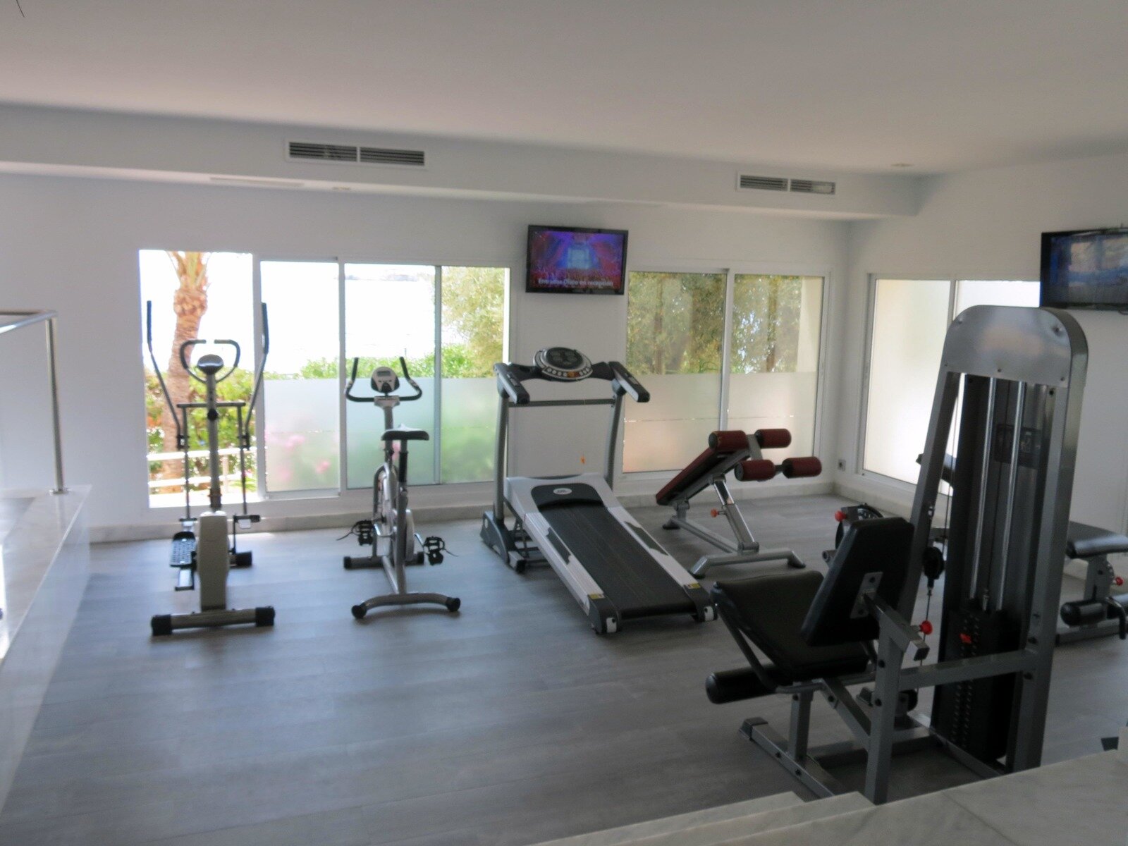Sport