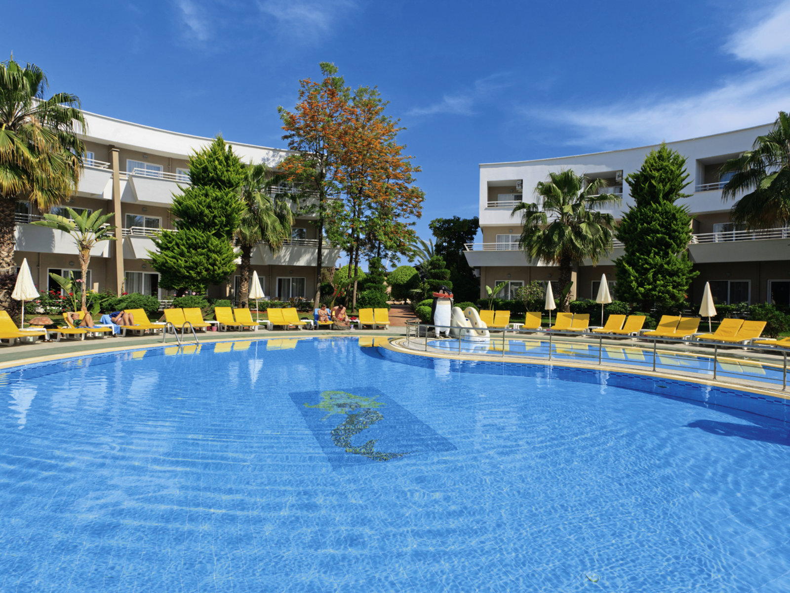 Activity Pool