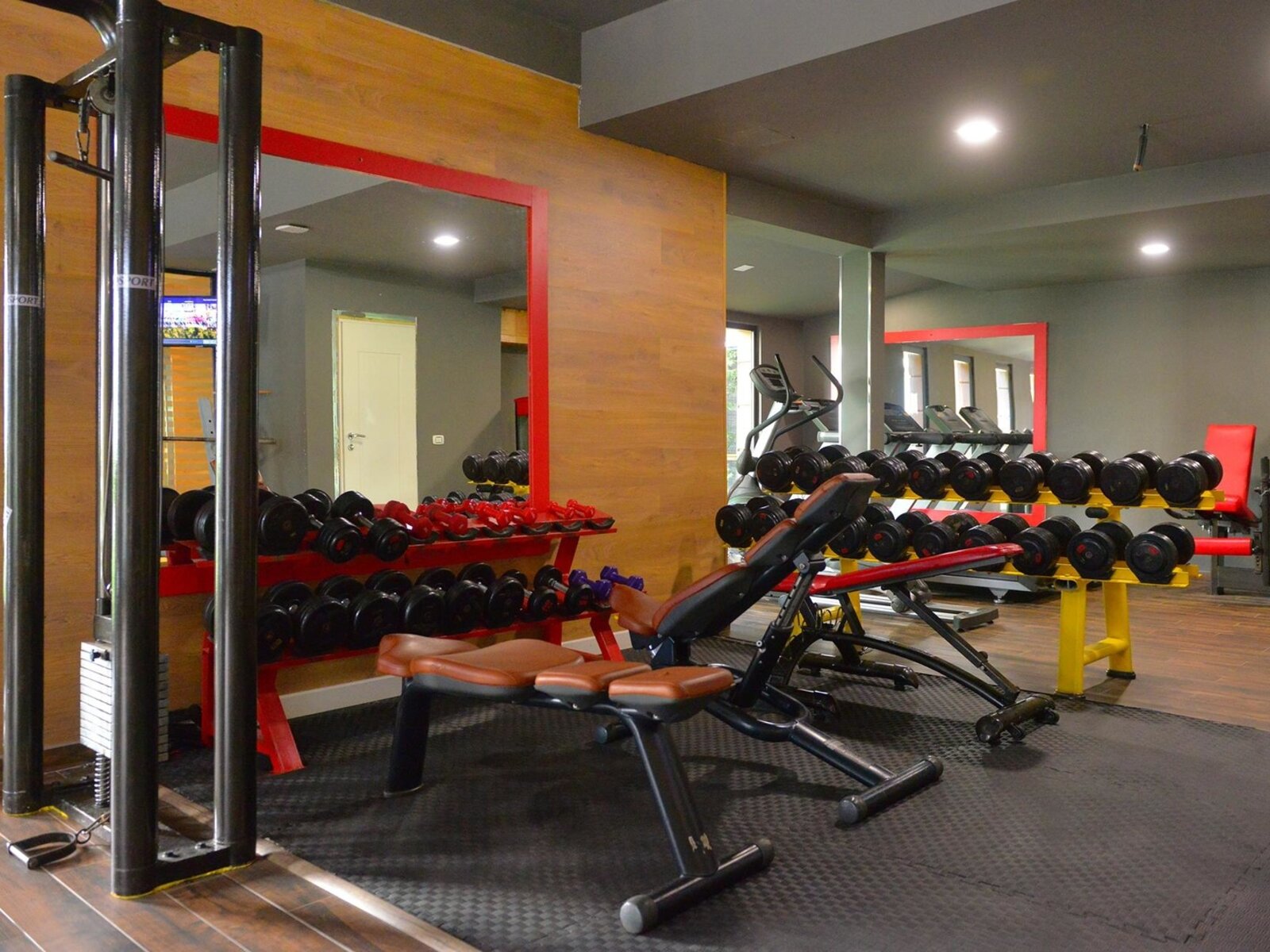 Sport