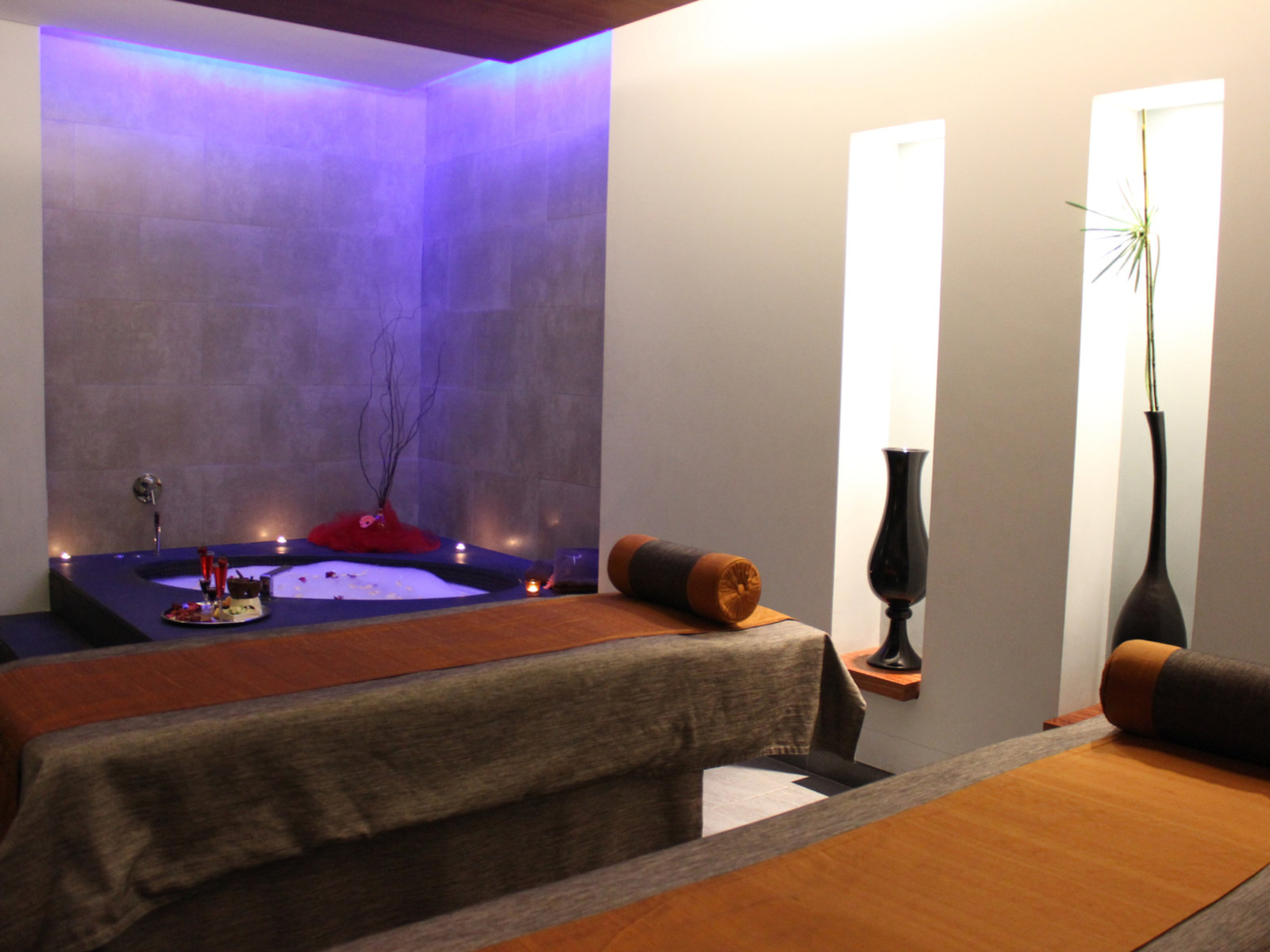 Wellness