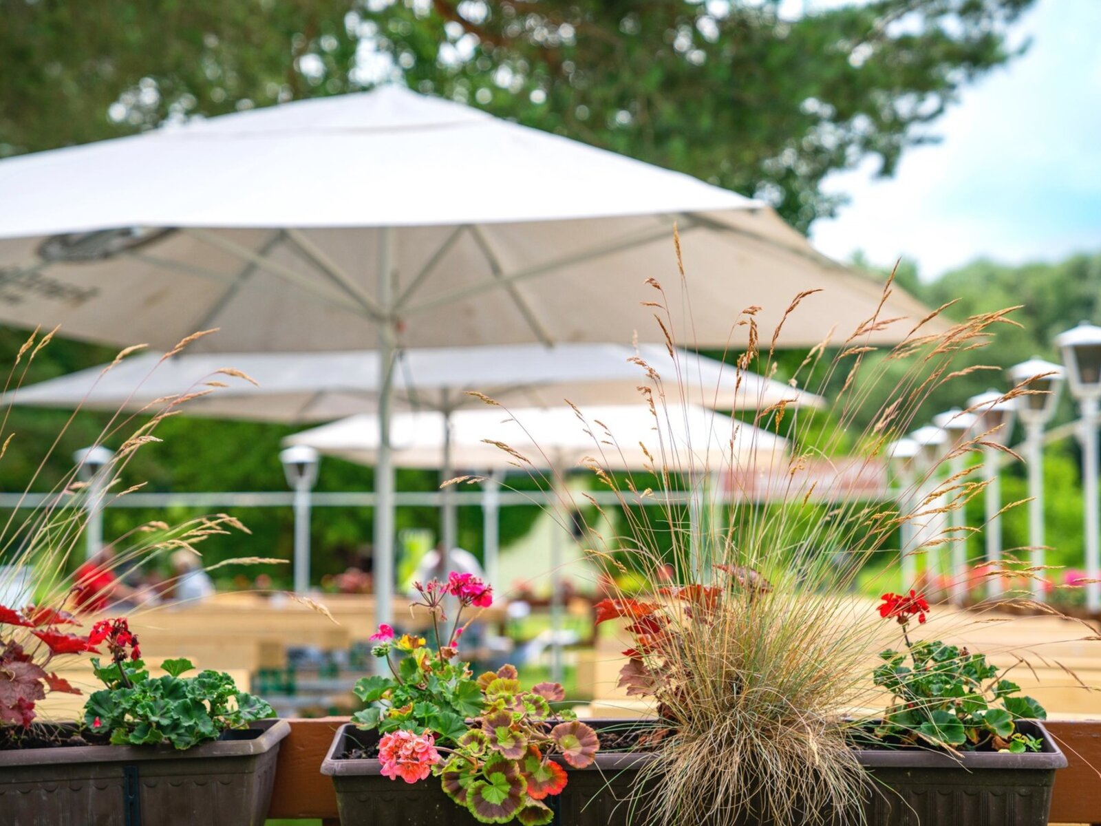 Biergarten