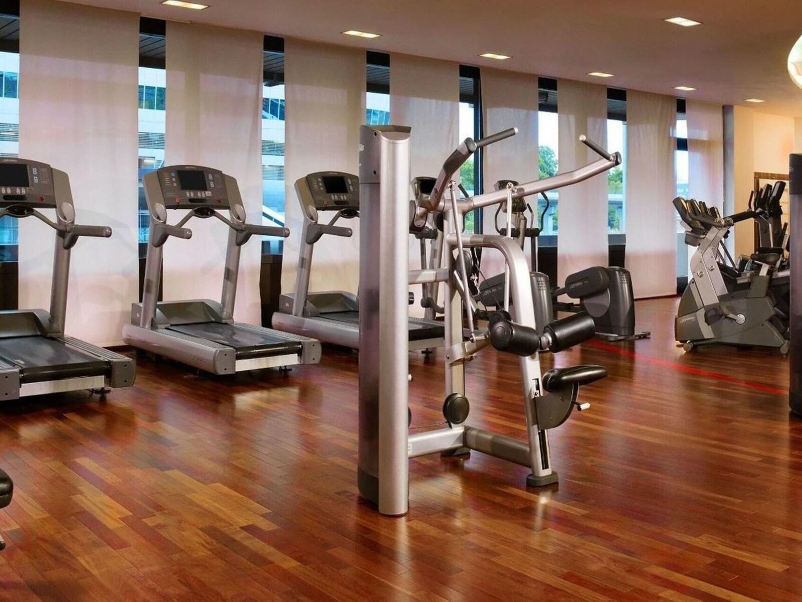 Sport
