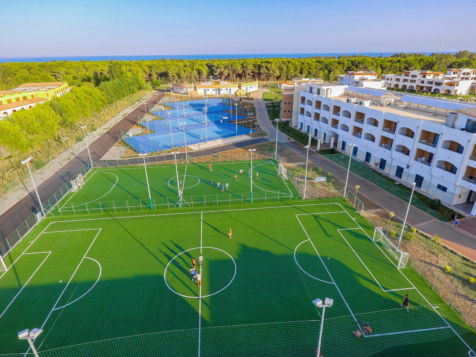 Sport