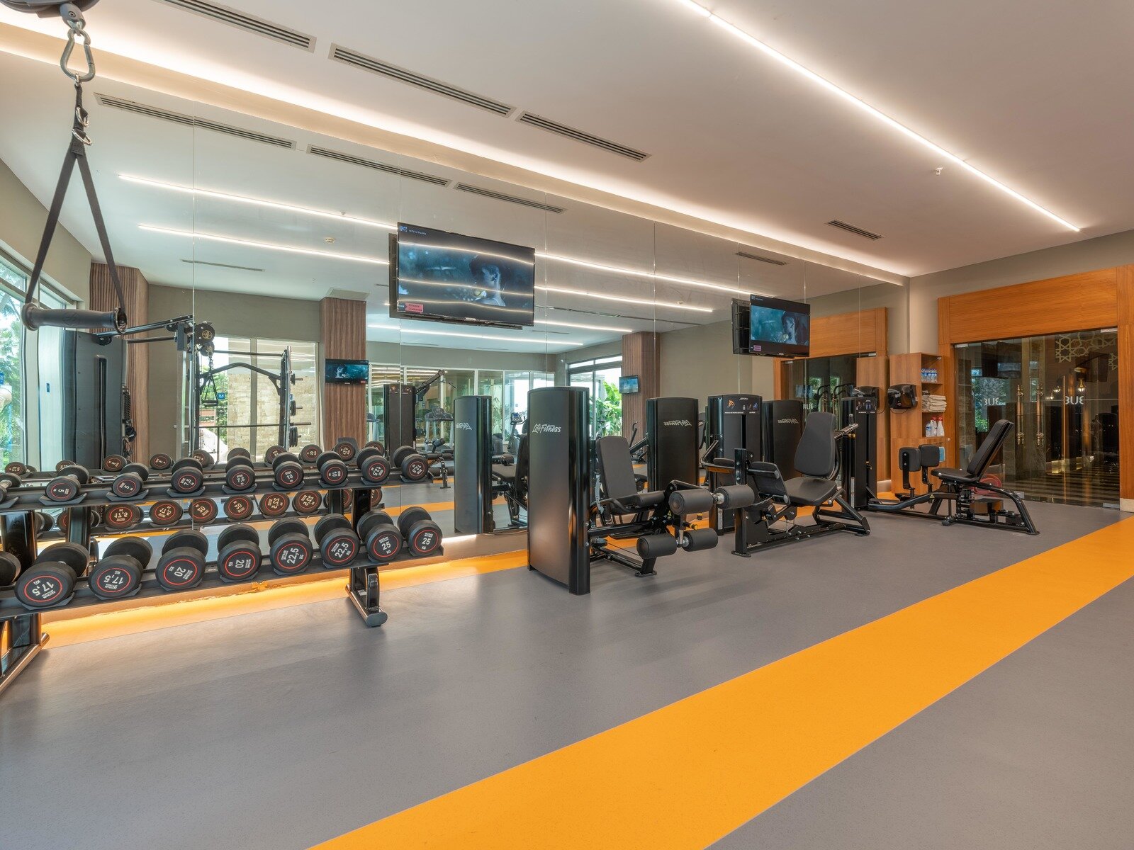 Sport