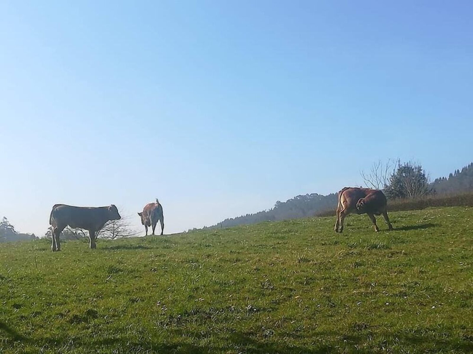Landschaft