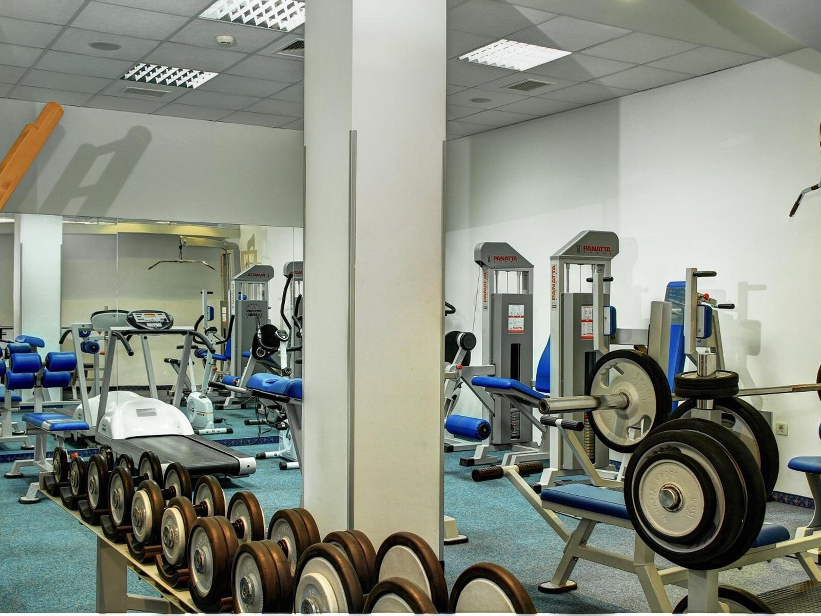 Sport