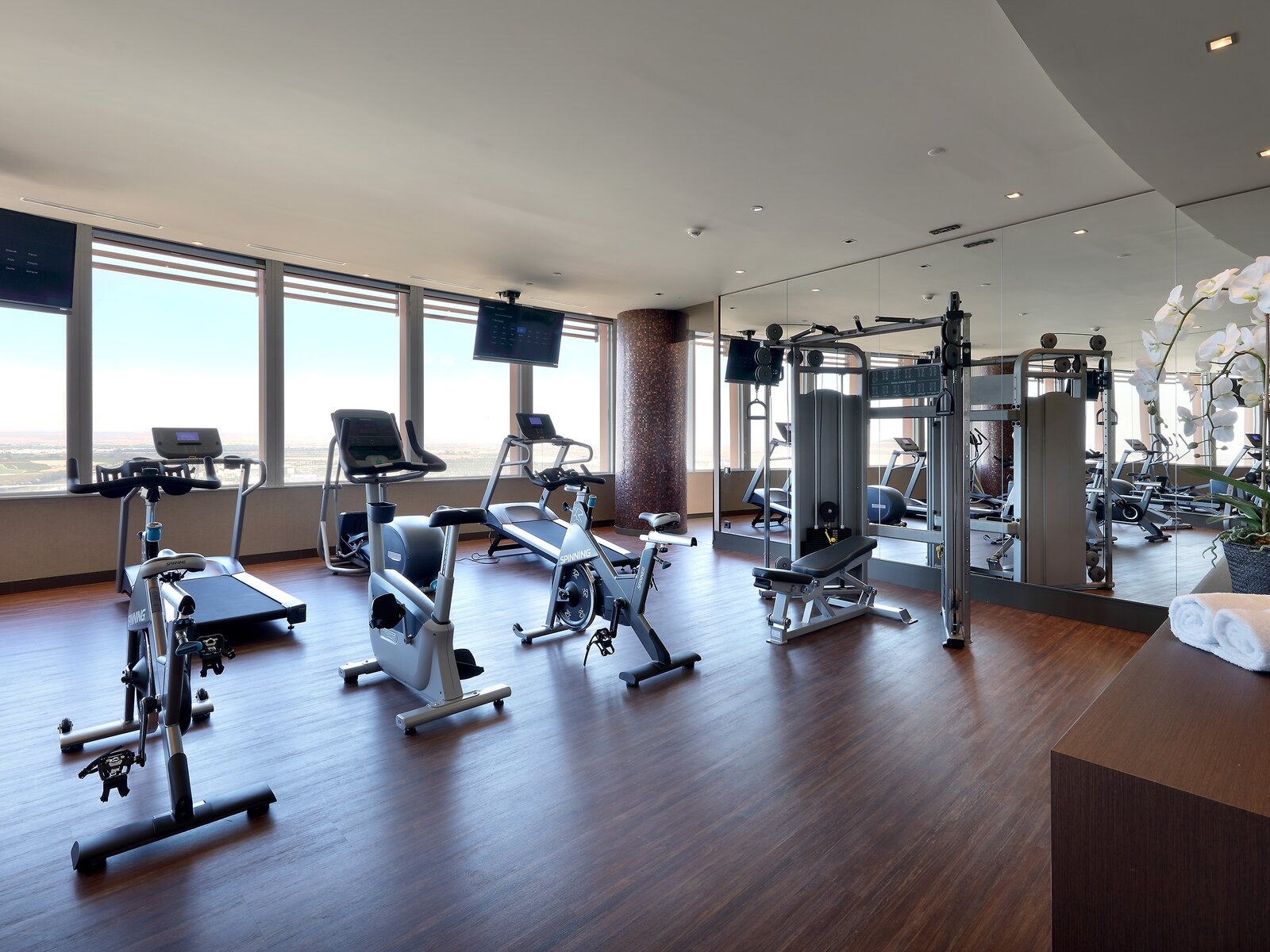 Sport