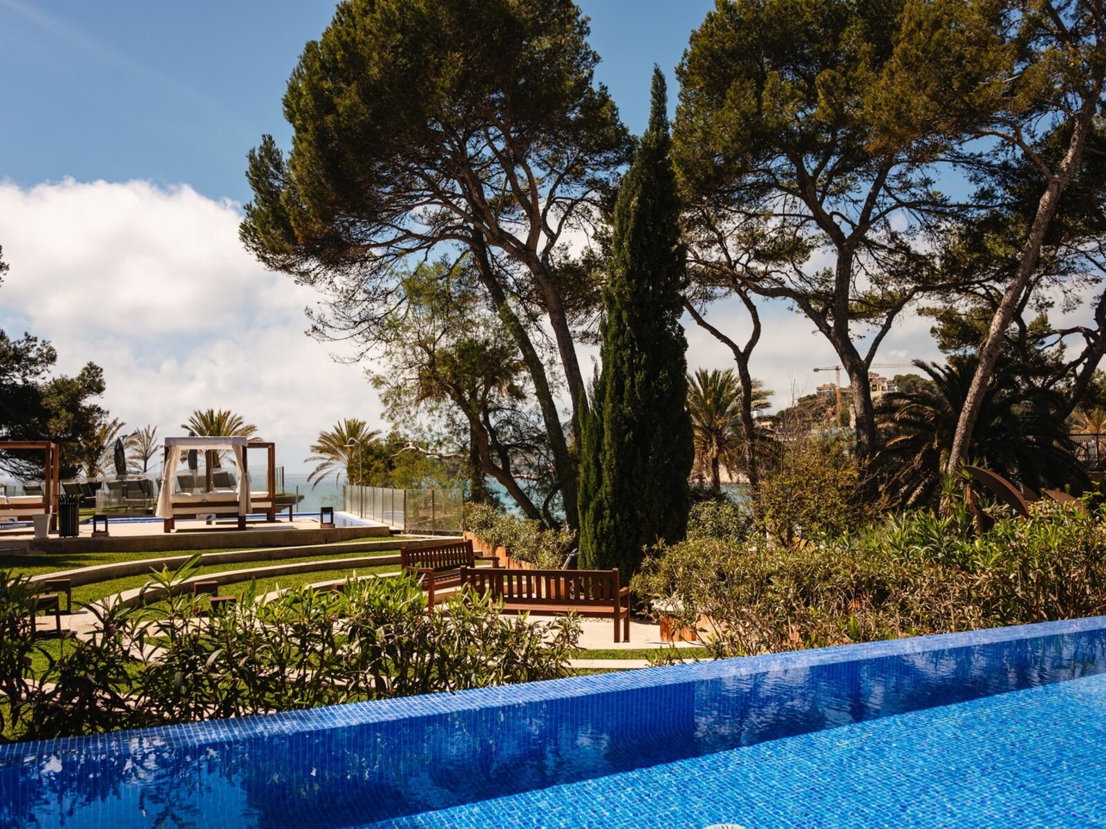 Wohnbeispiel Swim Up Partial Ocean View Preferred club